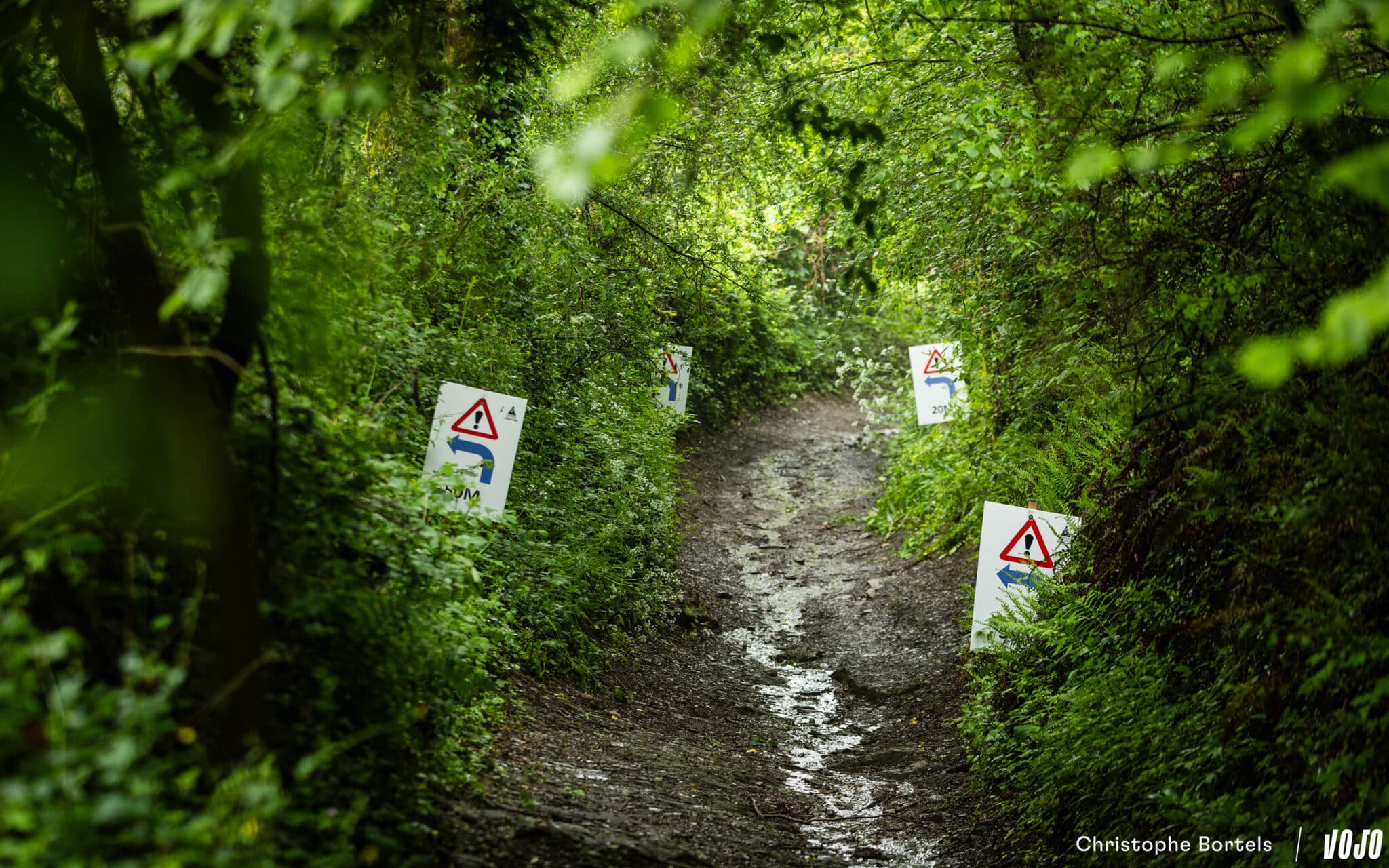 https://www.vojomag.com/app/uploads/2024/05/Vojomag BAMS 2024 Ardennes Trophy 27 2048x1280.jpg