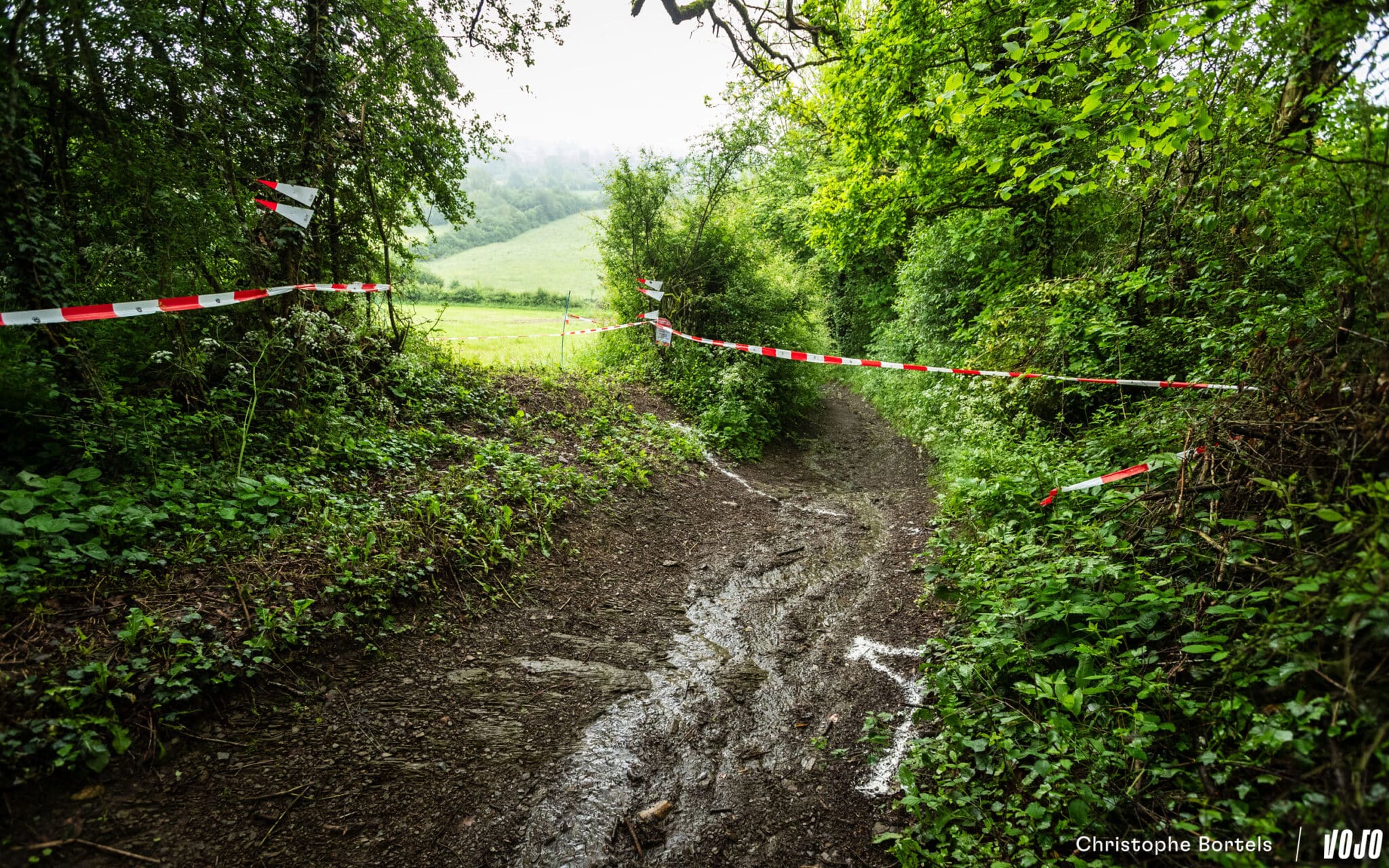https://www.vojomag.com/app/uploads/2024/05/Vojomag BAMS 2024 Ardennes Trophy 27 2048x1280.jpg