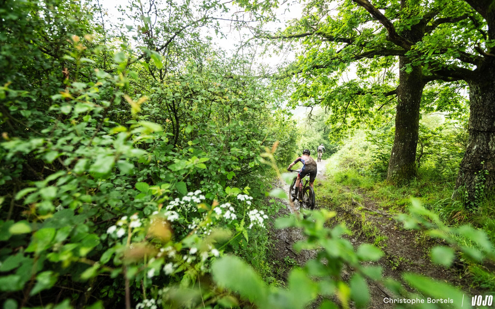 https://www.vojomag.com/app/uploads/2024/05/Vojomag BAMS 2024 Ardennes Trophy 27 2048x1280.jpg