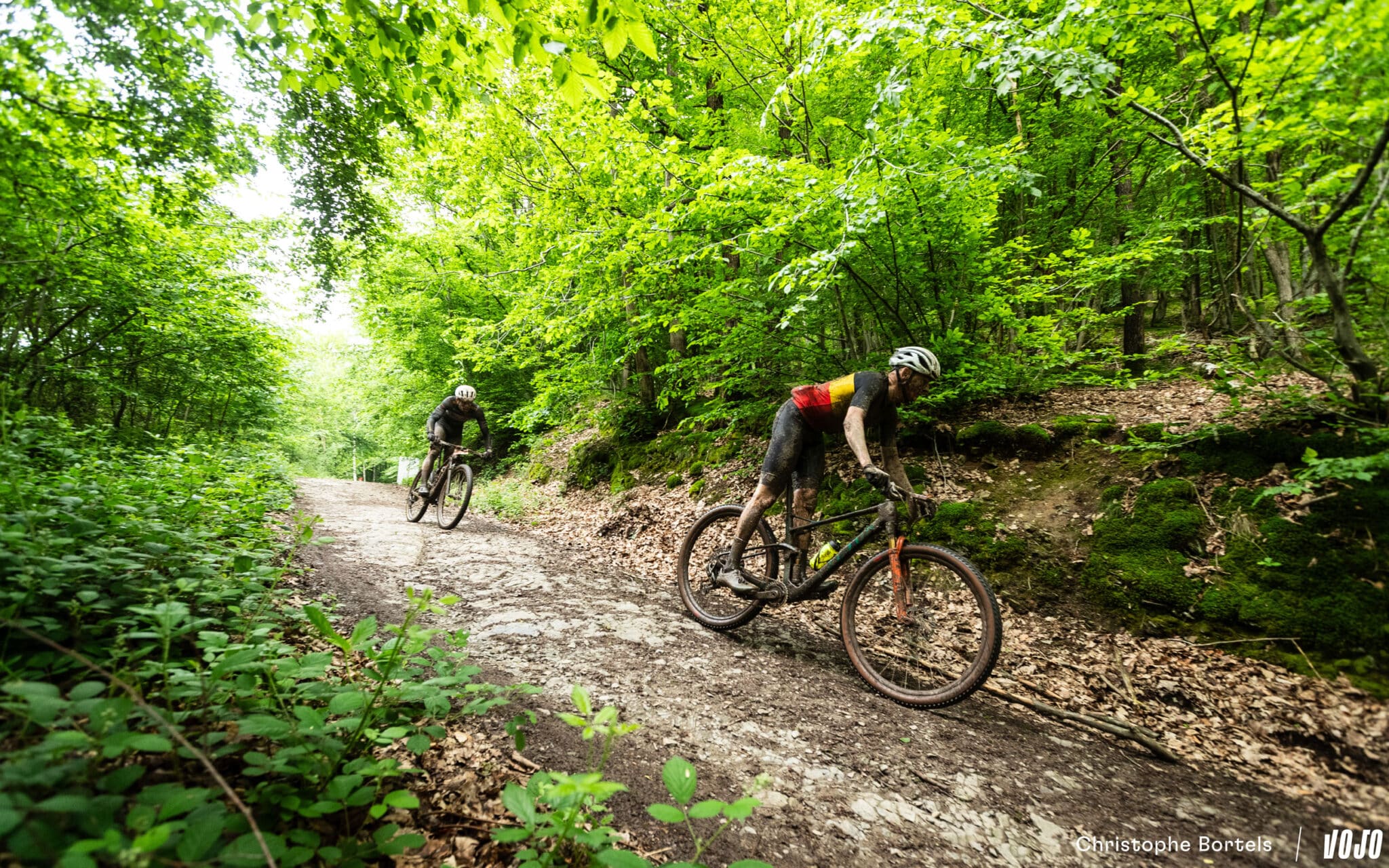 https://www.vojomag.com/app/uploads/2024/05/Vojomag BAMS 2024 Ardennes Trophy 40 2048x1280.jpg