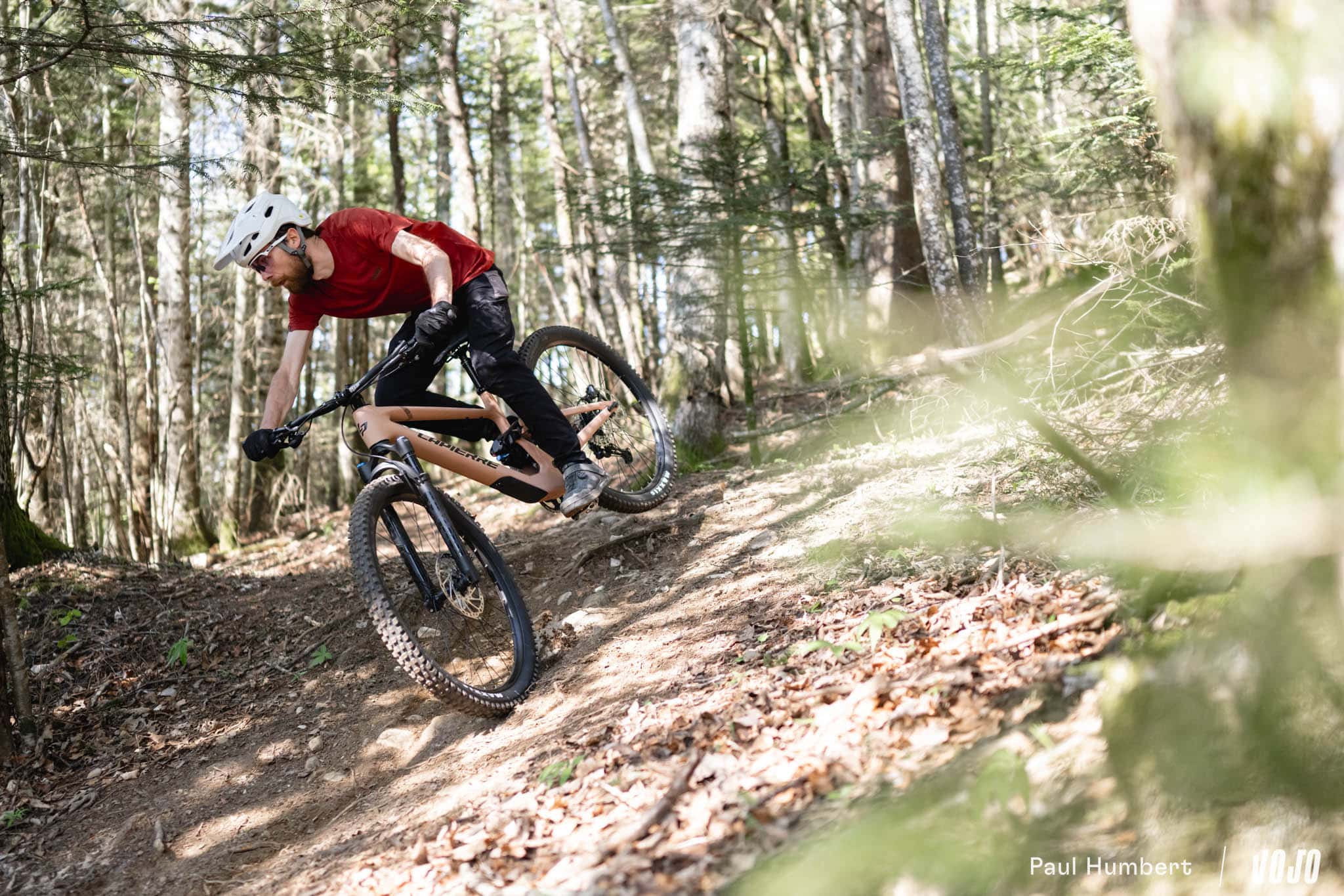 https://www.vojomag.com/app/uploads/2024/05/test nouveau lapierre zesty vtt 2024 vojo paul humbert 101.jpg