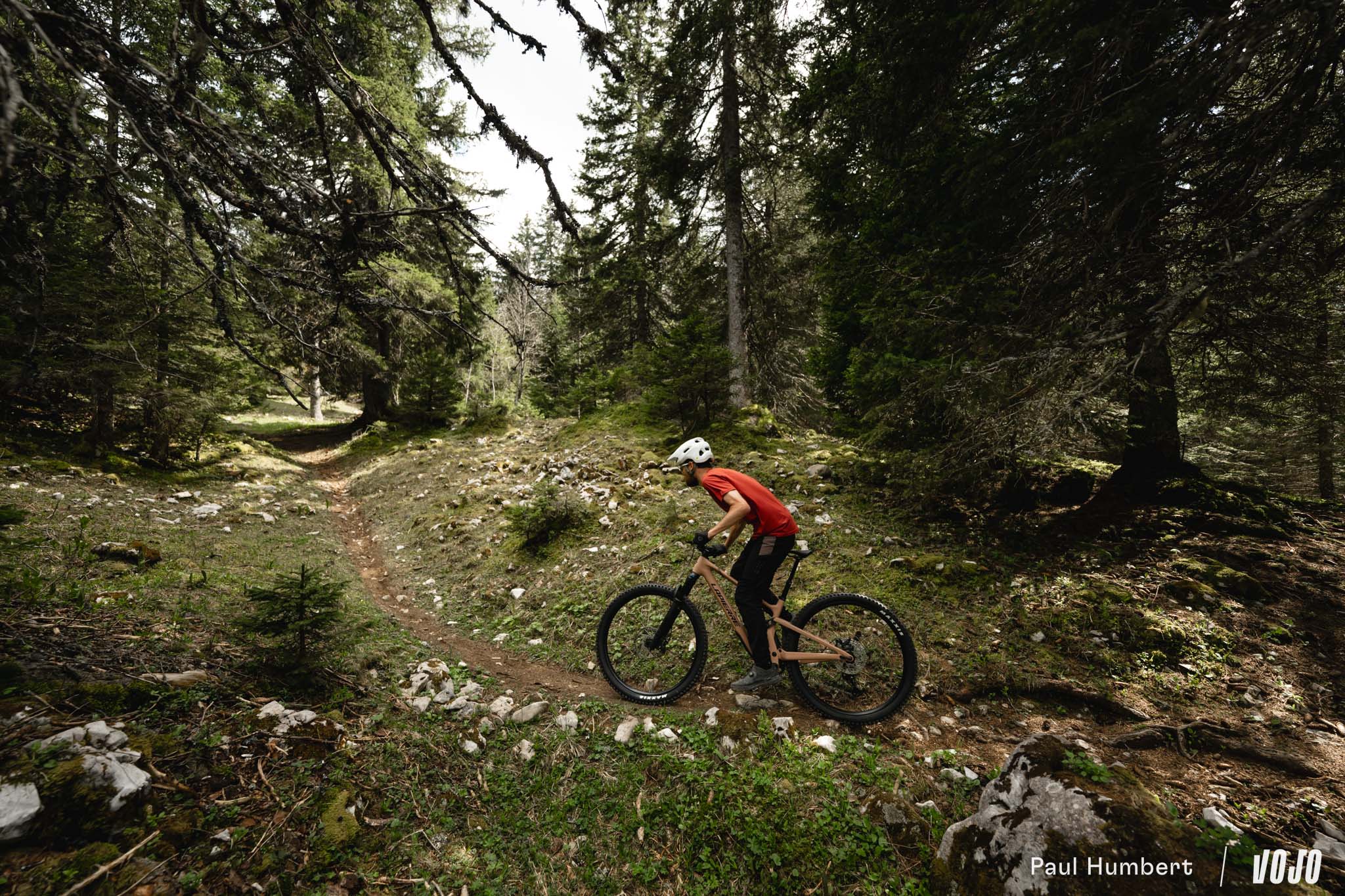 https://www.vojomag.com/app/uploads/2024/05/test nouveau lapierre zesty vtt 2024 vojo paul humbert 79.jpg