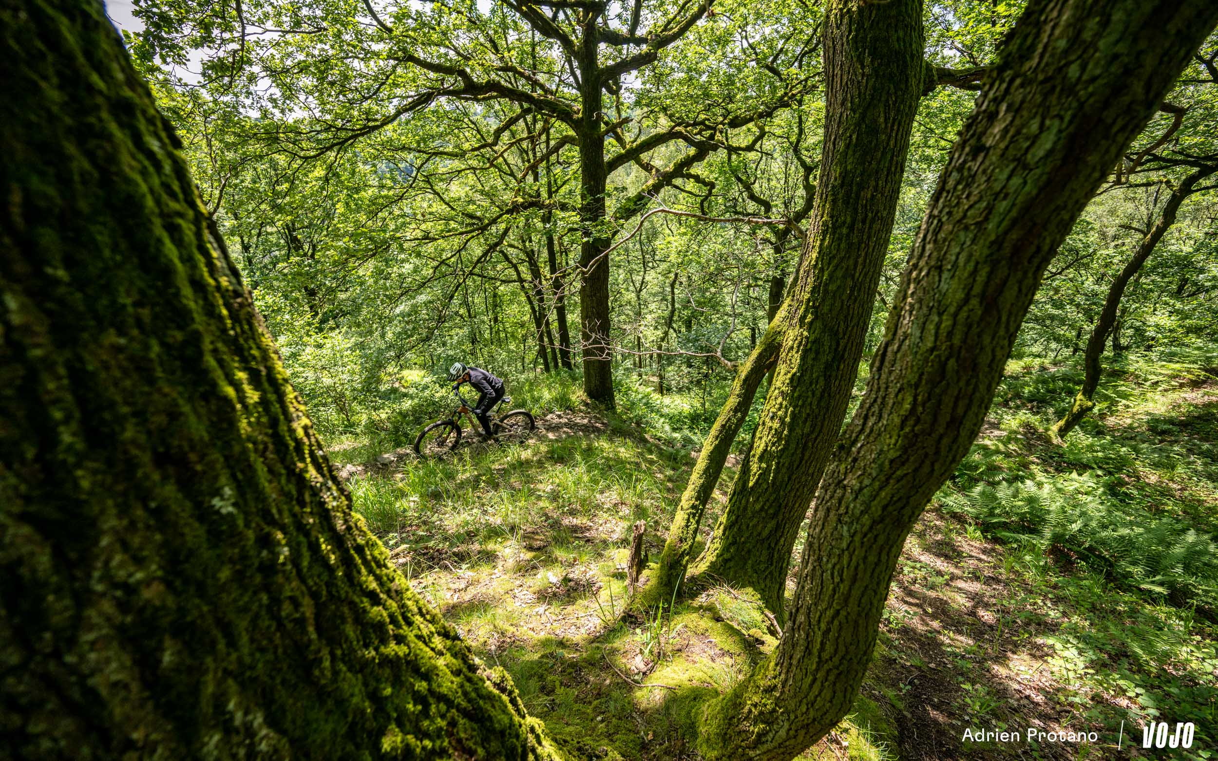 https://www.vojomag.com/app/uploads/2024/06/BH iLynx SL Trail 2024 Test Vojo A.Protano 1 31.jpg