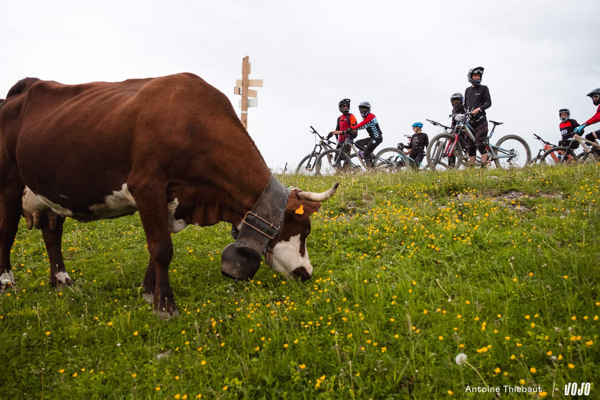https://www.vojomag.com/app/uploads/2024/06/pass portes du soleil chatel rando vtt 2024 vojo paul humbert 77.jpg