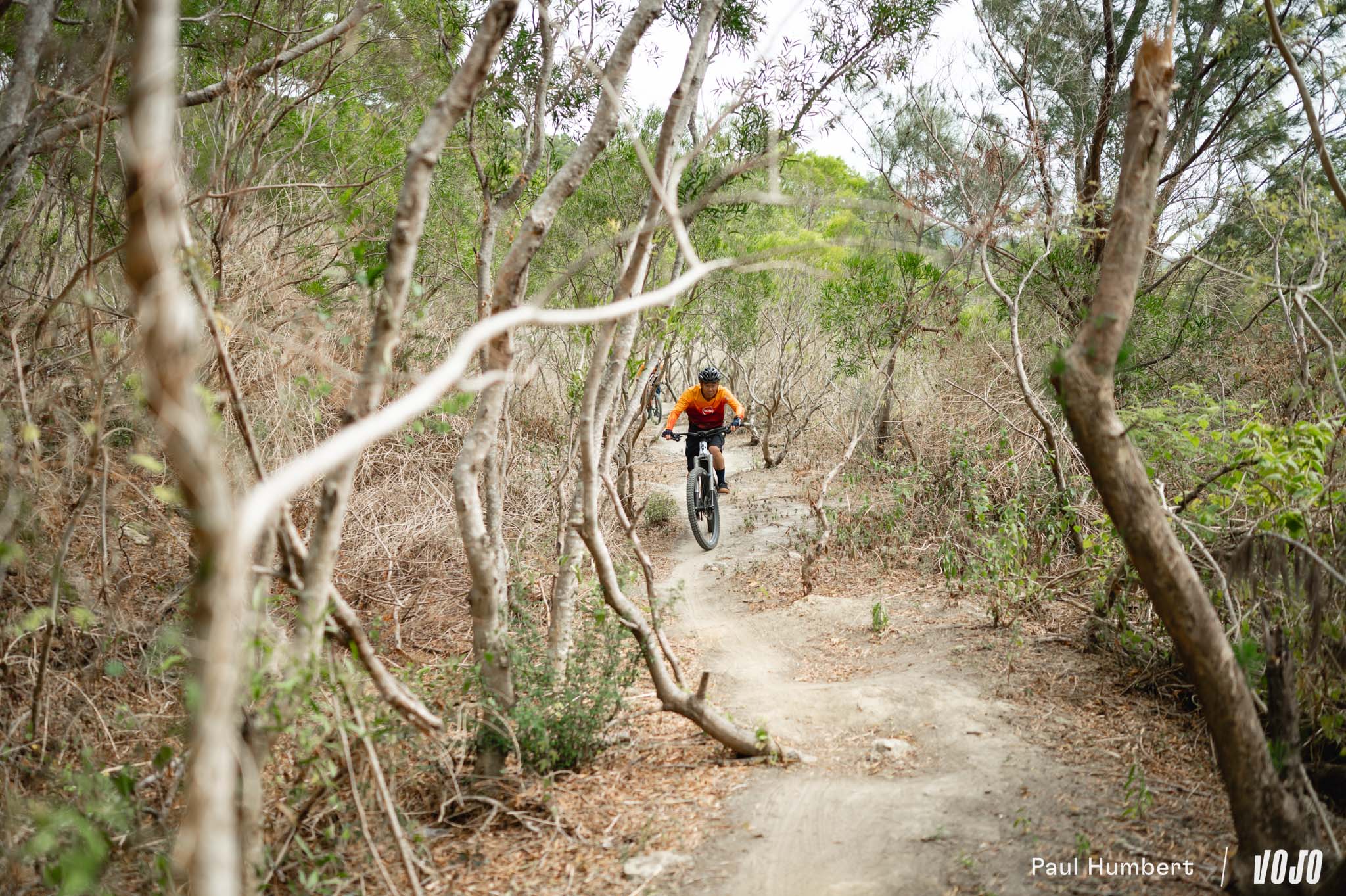 https://www.vojomag.com/app/uploads/2024/06/visite ks tainan seatpost taiwan 2024 vojo paul humbert 30.jpg