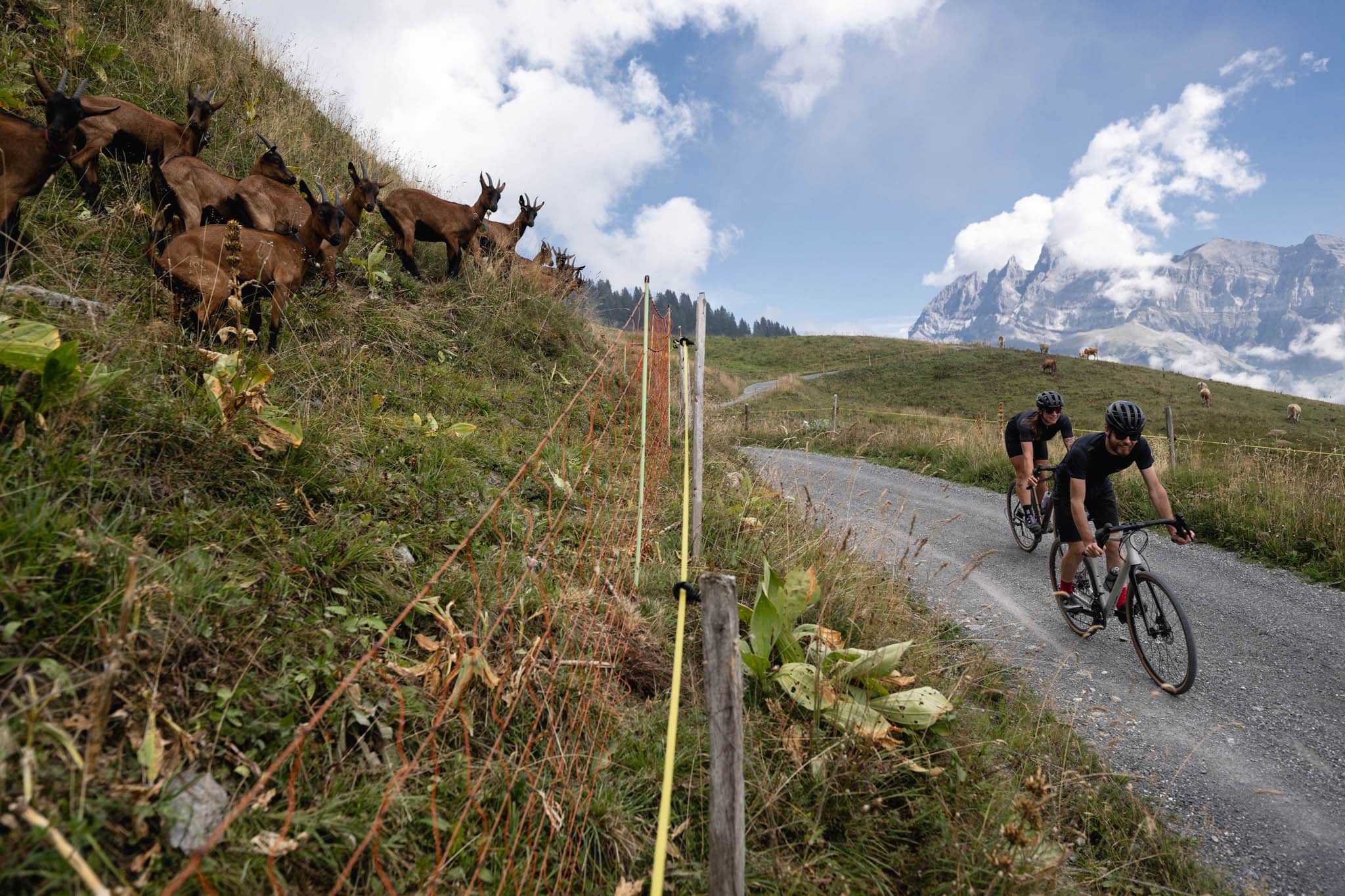 https://www.vojomag.com/app/uploads/2024/06/web gravel passportes soleil champery 2022 vojo paul humbert 47.jpg