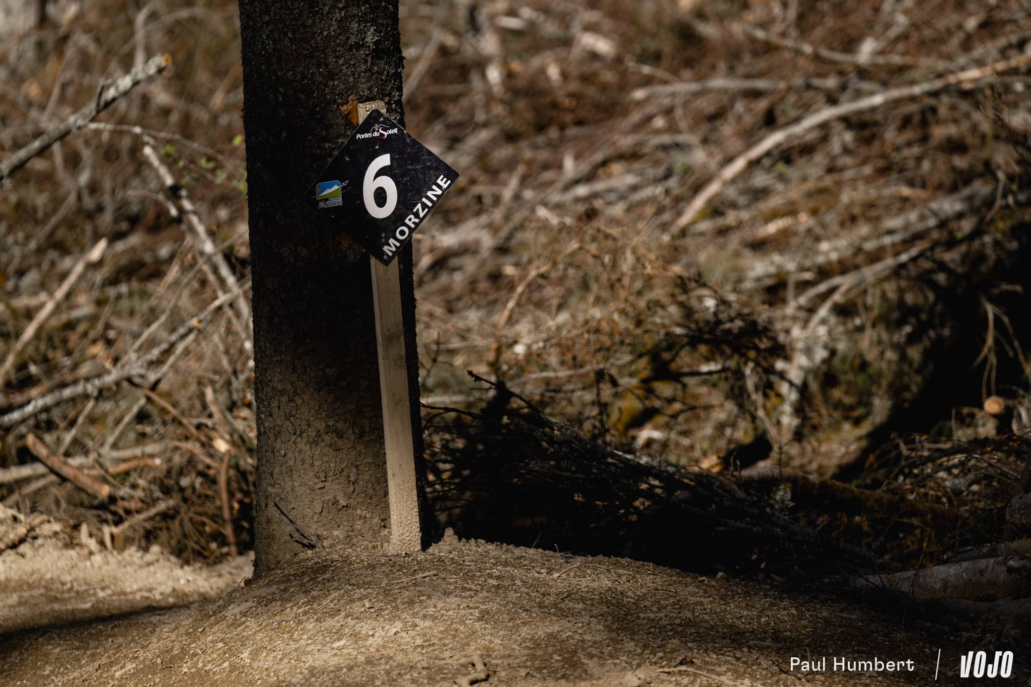 https://www.vojomag.com/app/uploads/2024/07/bike patrol morzine pleney shaper bike park 2024 vojo paul humbert 25.jpg