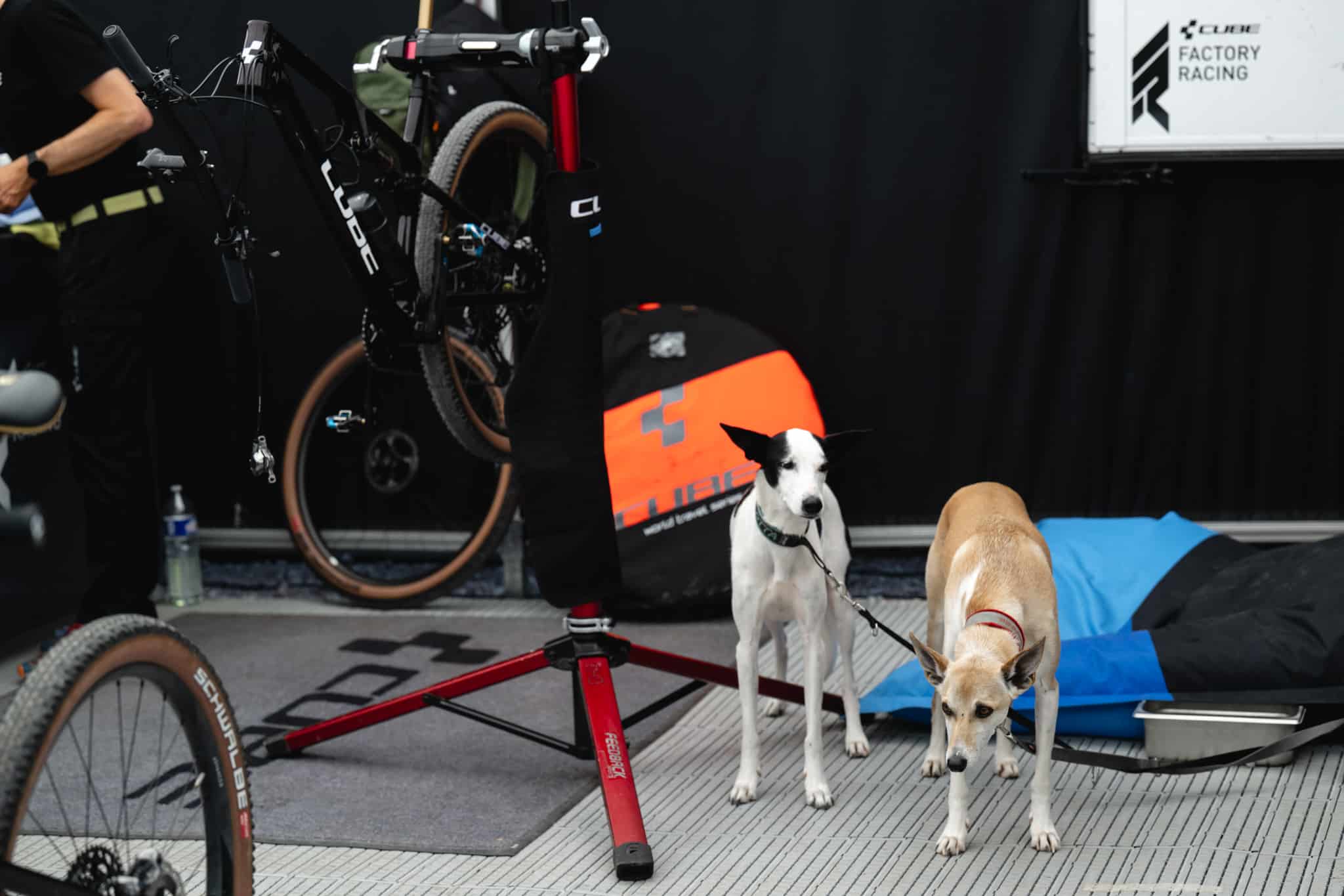 https://www.vojomag.com/app/uploads/2024/07/paddock coupe monde xc dh les gets 2024 vojo paul humbert 45.jpg