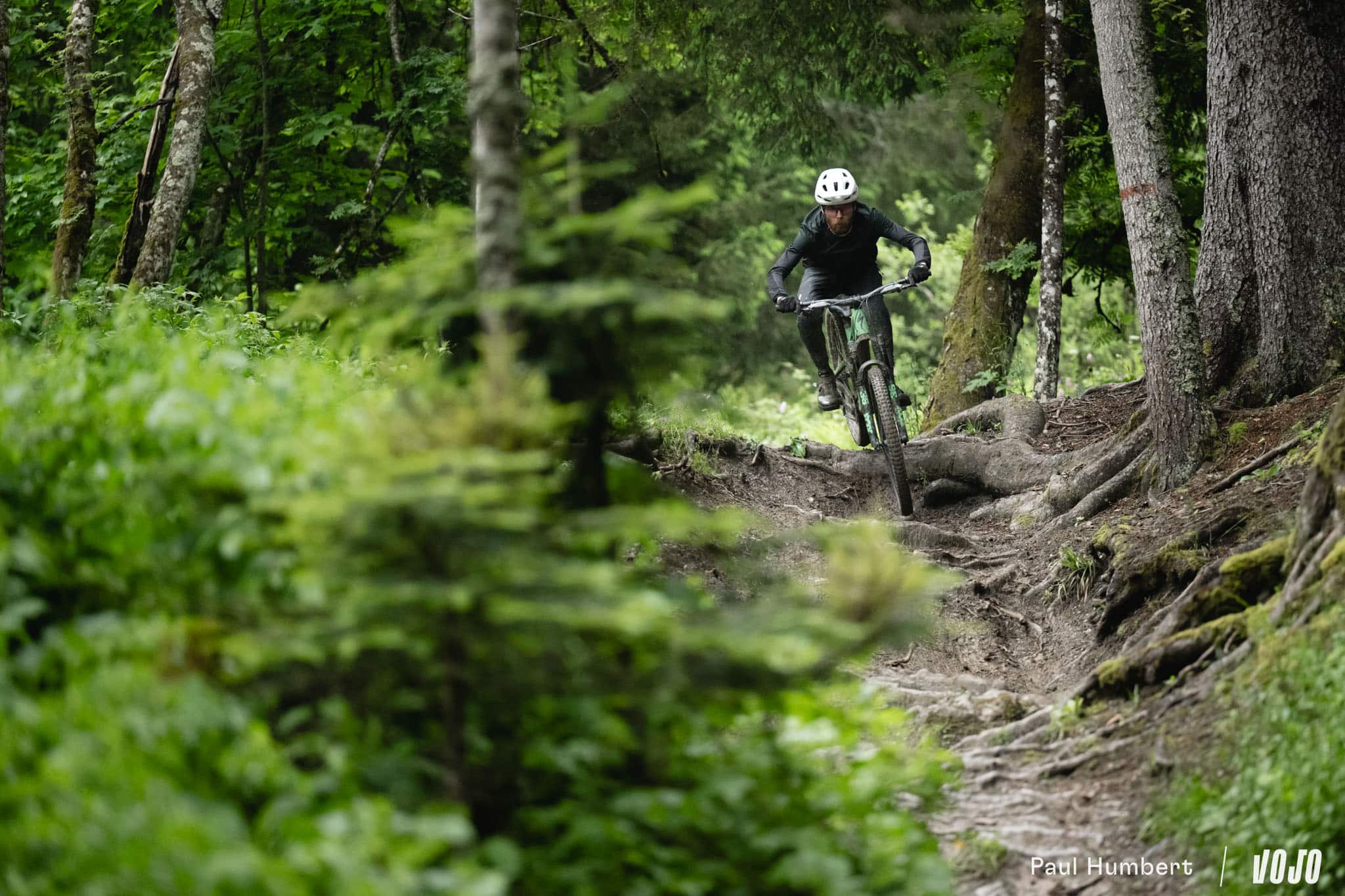 https://www.vojomag.com/app/uploads/2024/07/specialized stumpjumper 15 2025 test 2024 vojo paul humbert 114.jpg