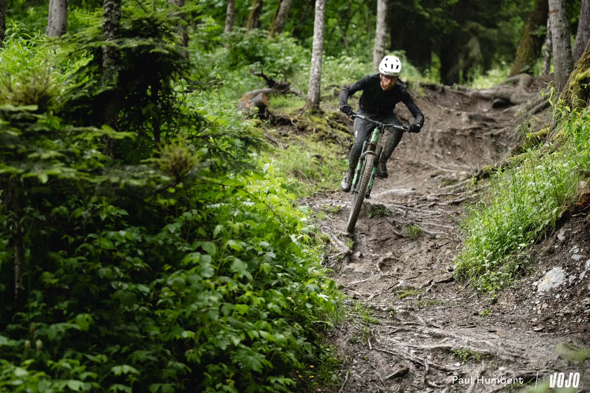 https://www.vojomag.com/app/uploads/2024/07/specialized stumpjumper 15 2025 test 2024 vojo paul humbert 117.jpg