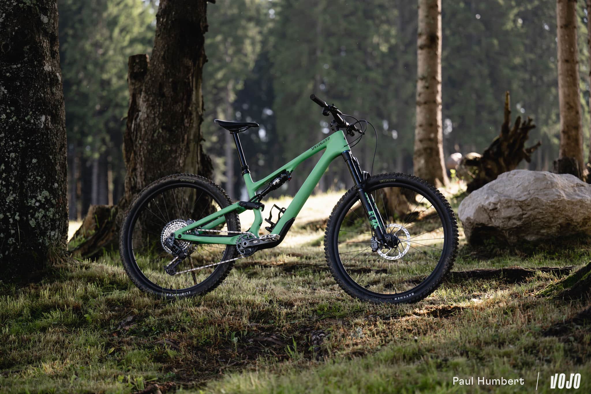 https://www.vojomag.com/app/uploads/2024/07/specialized stumpjumper 15 2025 test 2024 vojo paul humbert 85.jpg