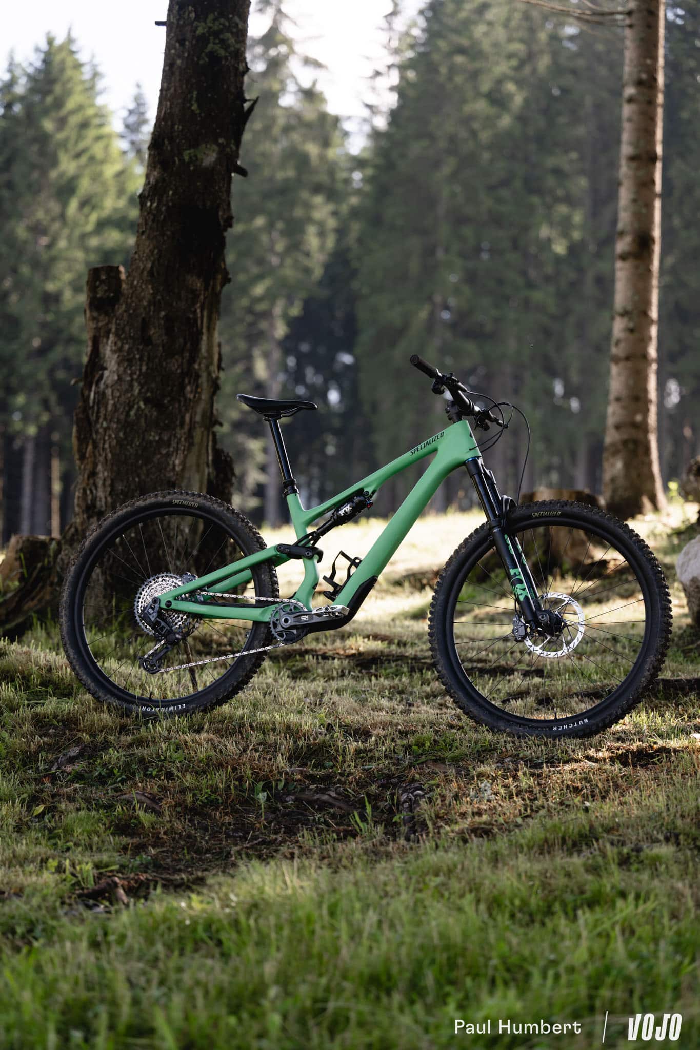 https://www.vojomag.com/app/uploads/2024/07/specialized stumpjumper 15 2025 test 2024 vojo paul humbert 86.jpg