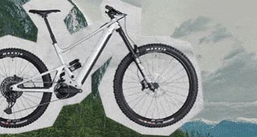 Vtt occasion namur best sale