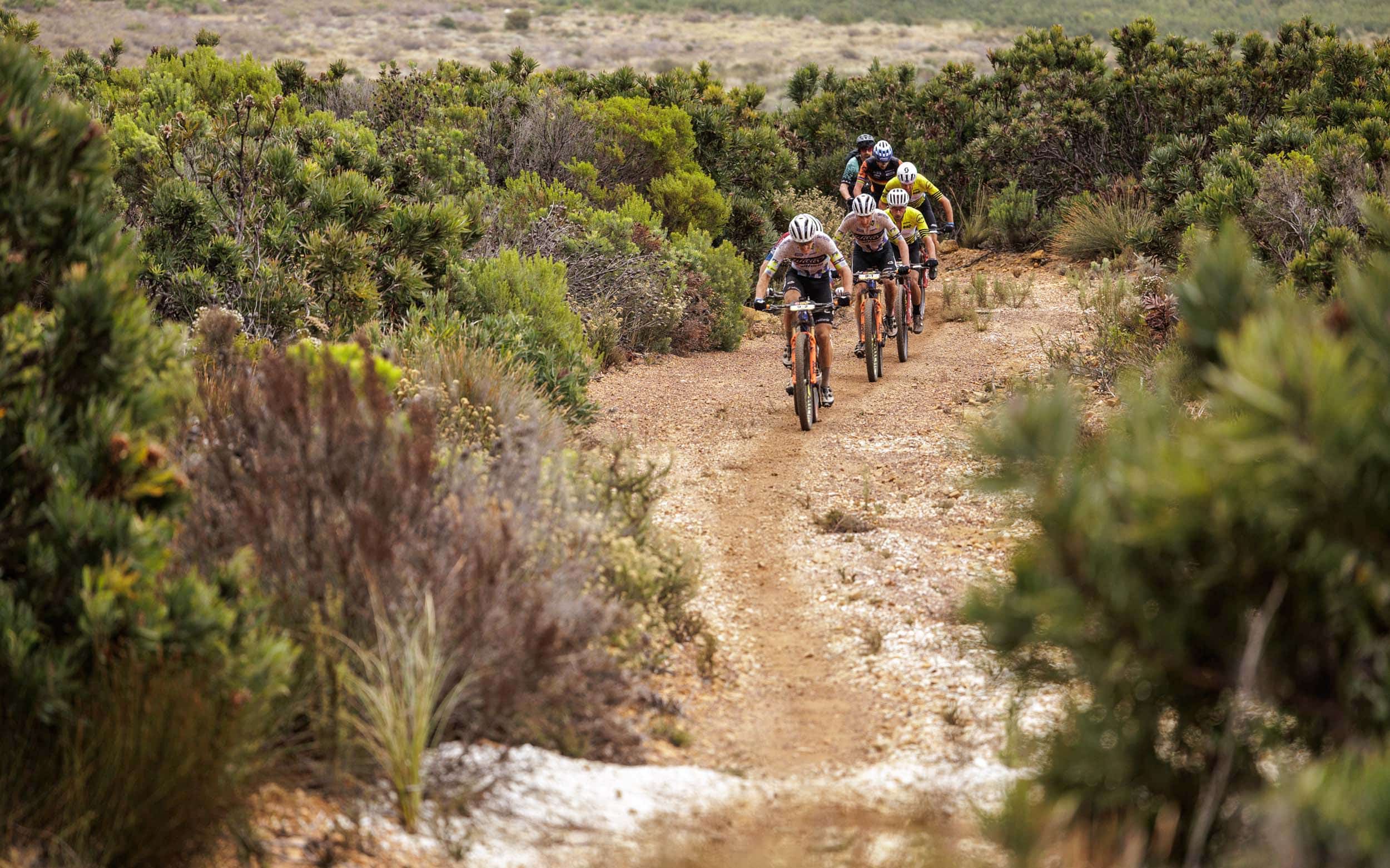 Photo by Nick Muzik/Cape Epic