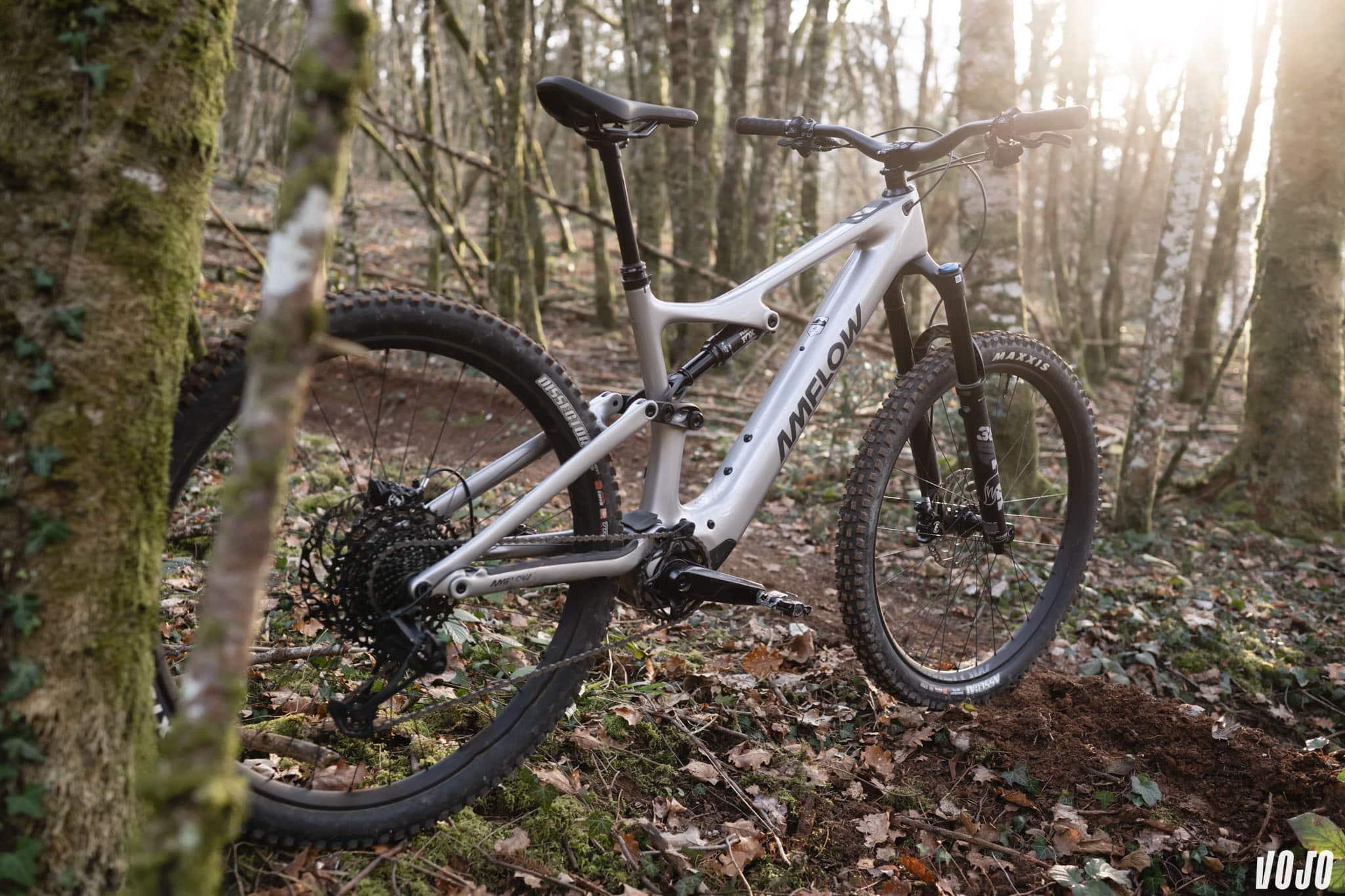 https://www.vojomag.com/app/uploads/2025/03/amflow dji avinox ebike VTTAE 2025 vojo paul humbert 40.jpg