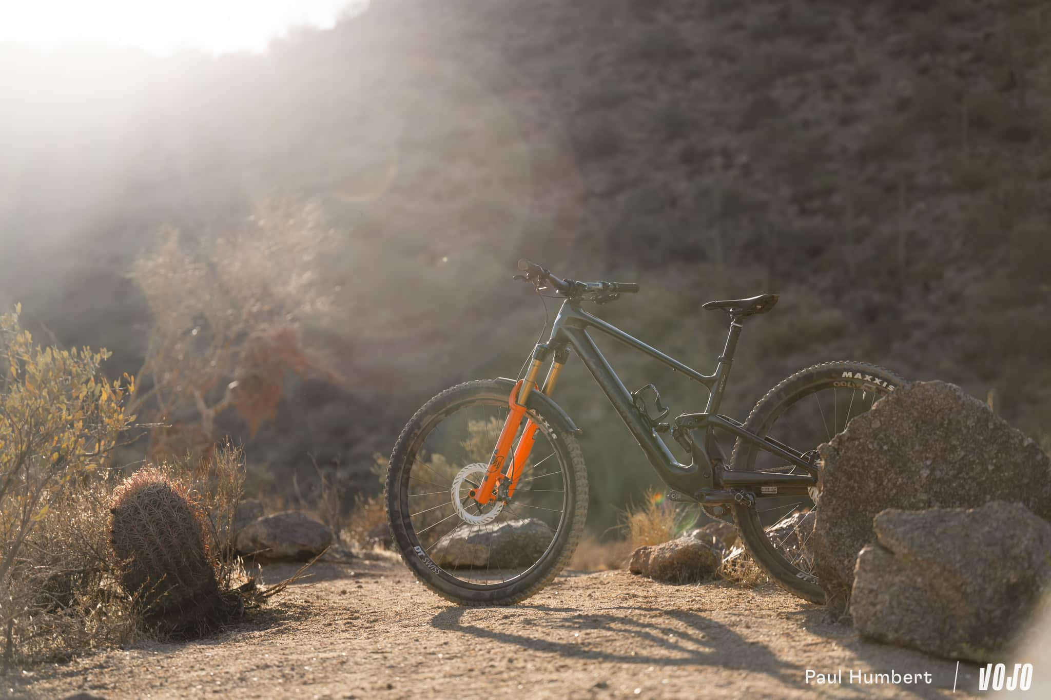https://www.vojomag.com/app/uploads/2025/03/fourche fox 36 SL VTT 2025 vojo paul humbert 24.jpg