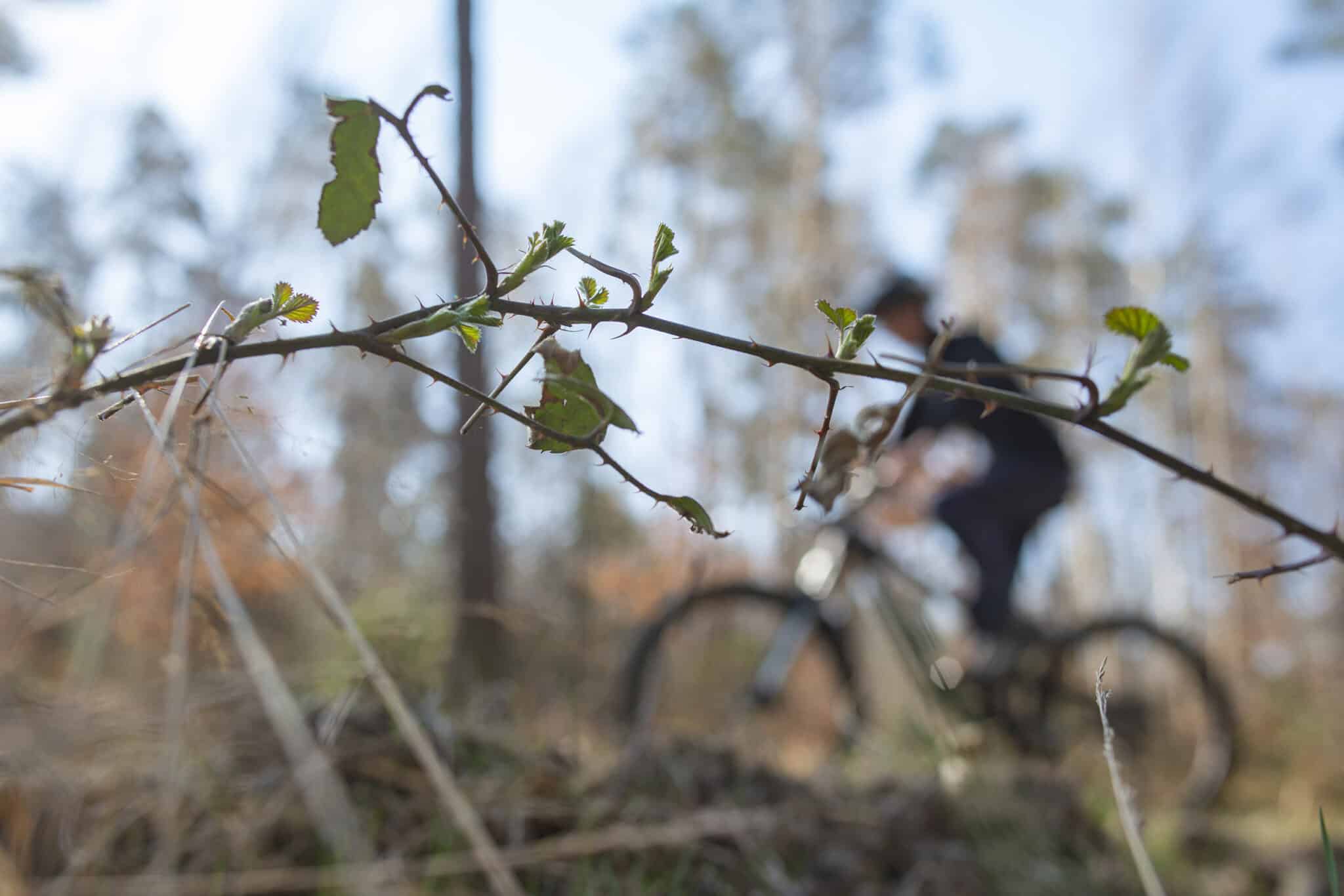 Découverte | Manhay au gré des moulins : du VTT sur le toit de la Belgique