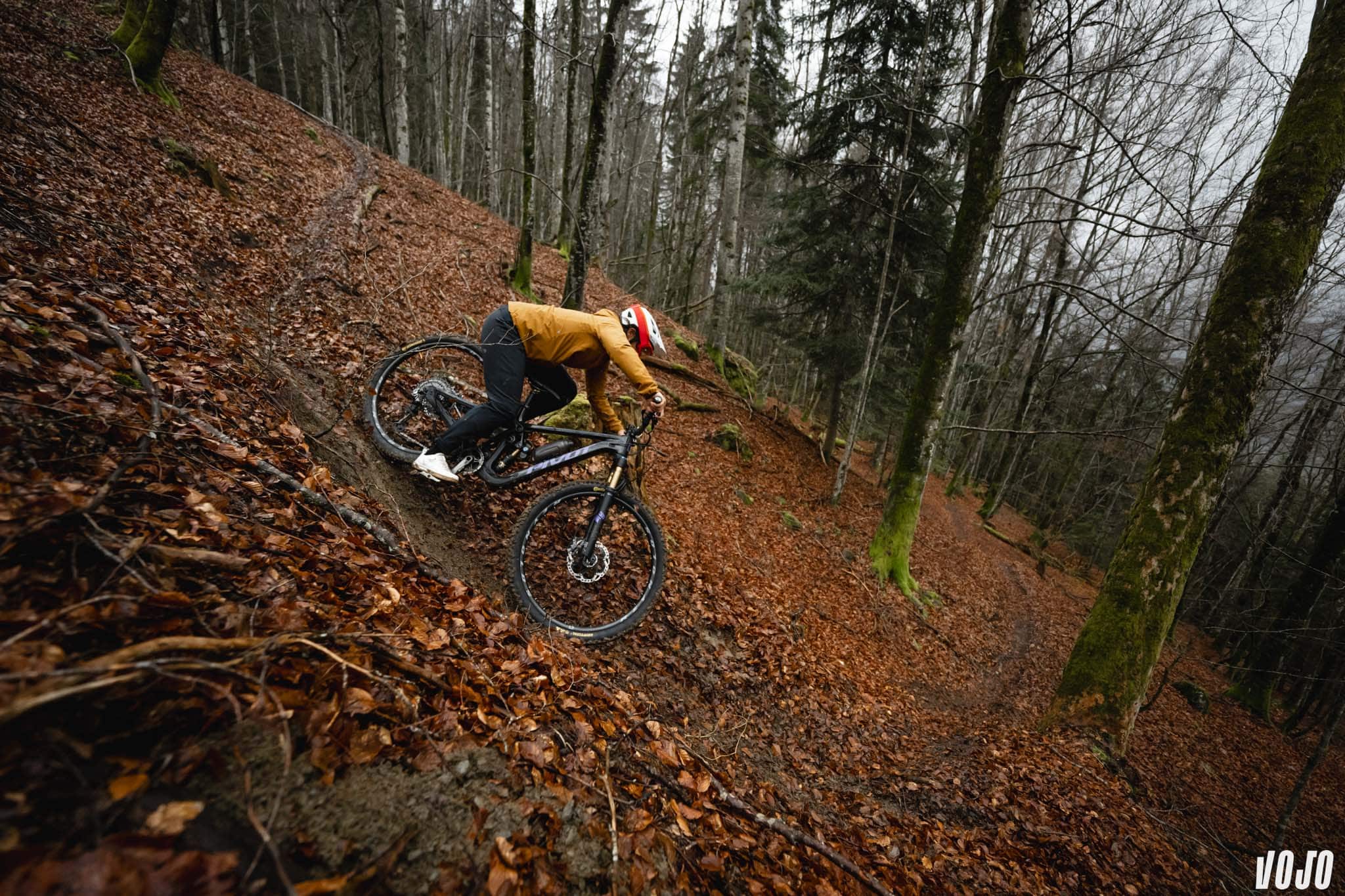 https://www.vojomag.com/app/uploads/2025/04/pivot firebird 2025 morgane charre chris cocalis vojo paul humbert 85.jpg