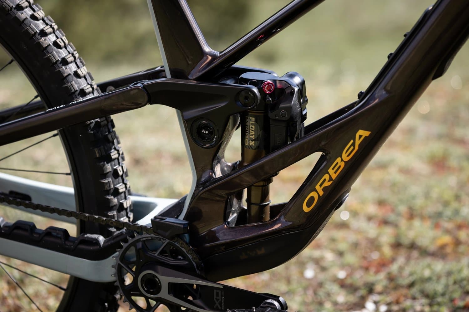 https://www.vojomag.com/app/uploads/2025/05/Orbea Roo Fowler 2048 x 10006.jpg