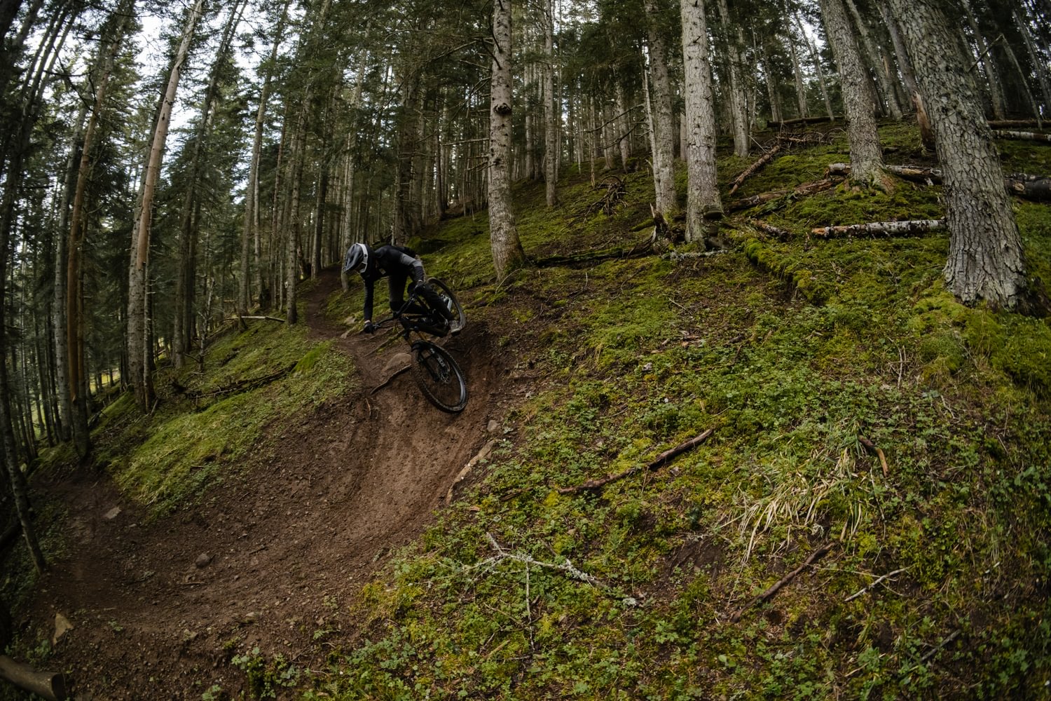 https://www.vojomag.com/app/uploads/2025/05/Orbea Roo Fowler 2048 x 10006.jpg