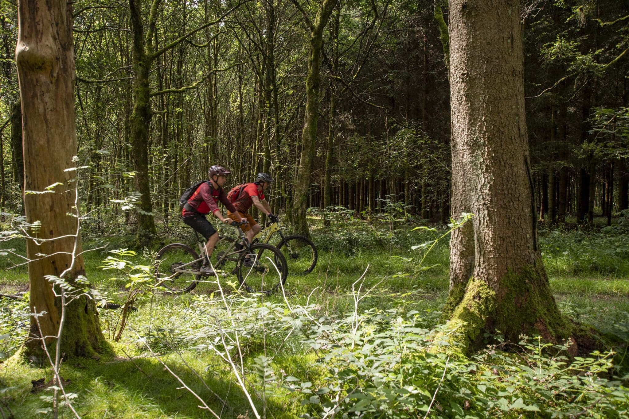 https://www.vojomag.com/app/uploads/2025/05/Parcours VTT Cantons Est 11 2048x1366.jpg