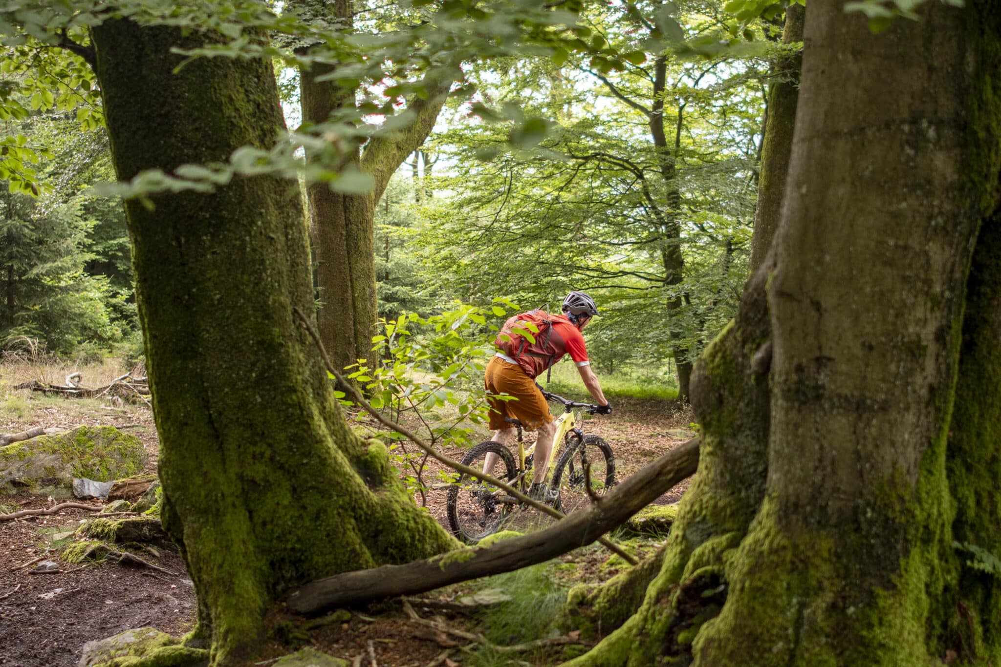 https://www.vojomag.com/app/uploads/2025/05/Parcours VTT Cantons Est 8 2048x1366.jpg
