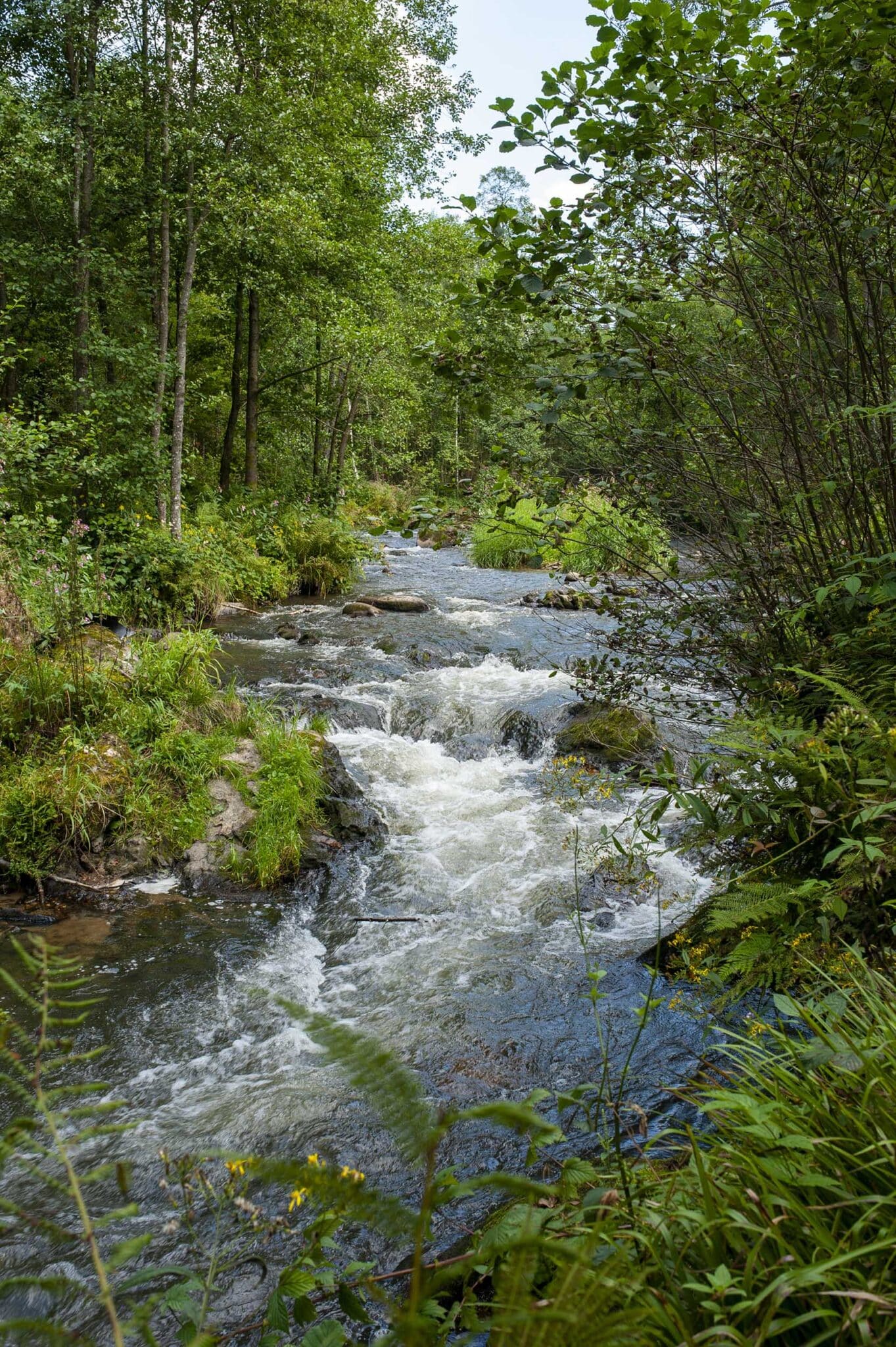 https://www.vojomag.com/app/uploads/2025/05/Parcours VTT Cantons Est Ambleve 1363x2048.jpg