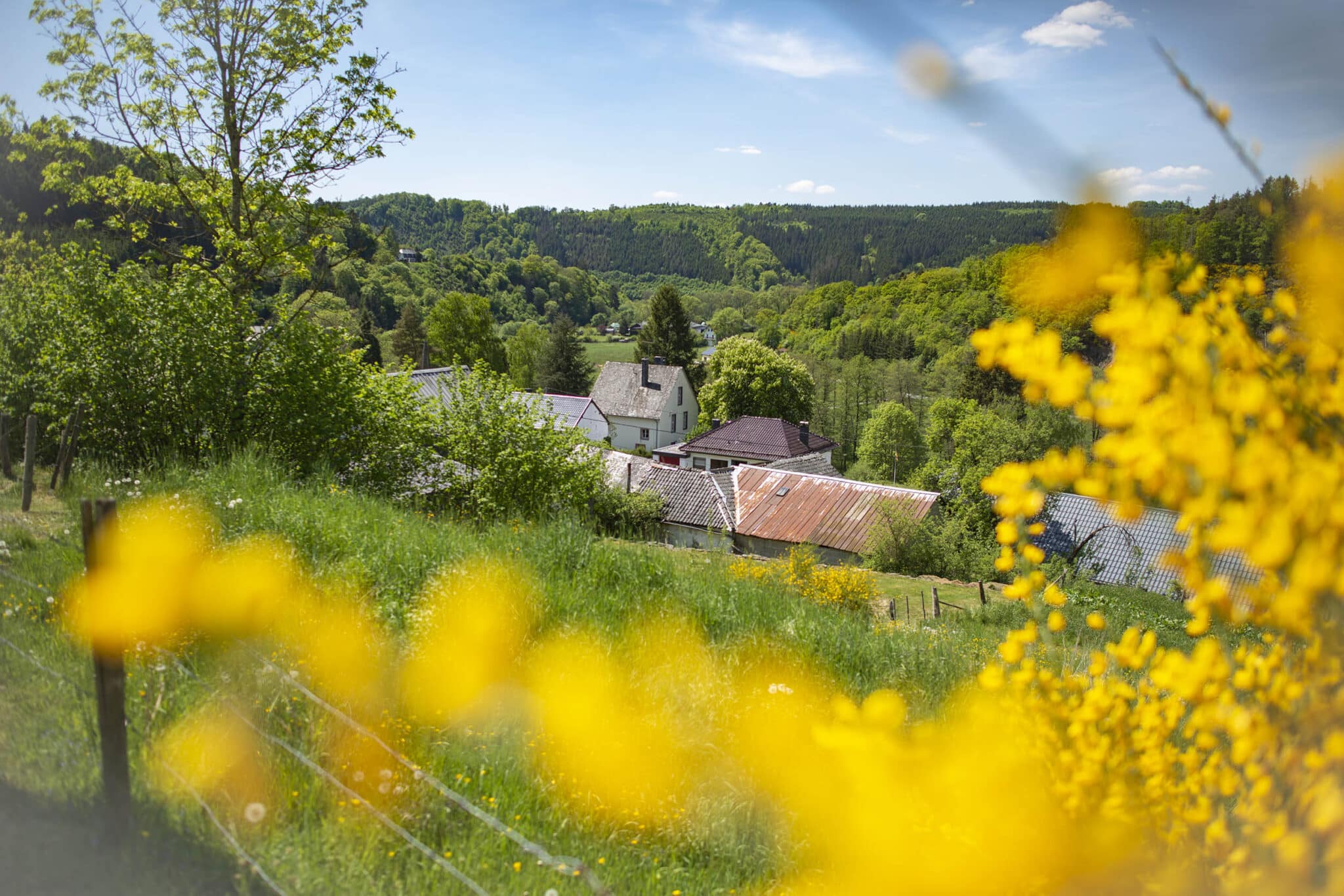 https://www.vojomag.com/app/uploads/2025/05/Parcours VTT cantons est Ouren 2048x1366.jpg