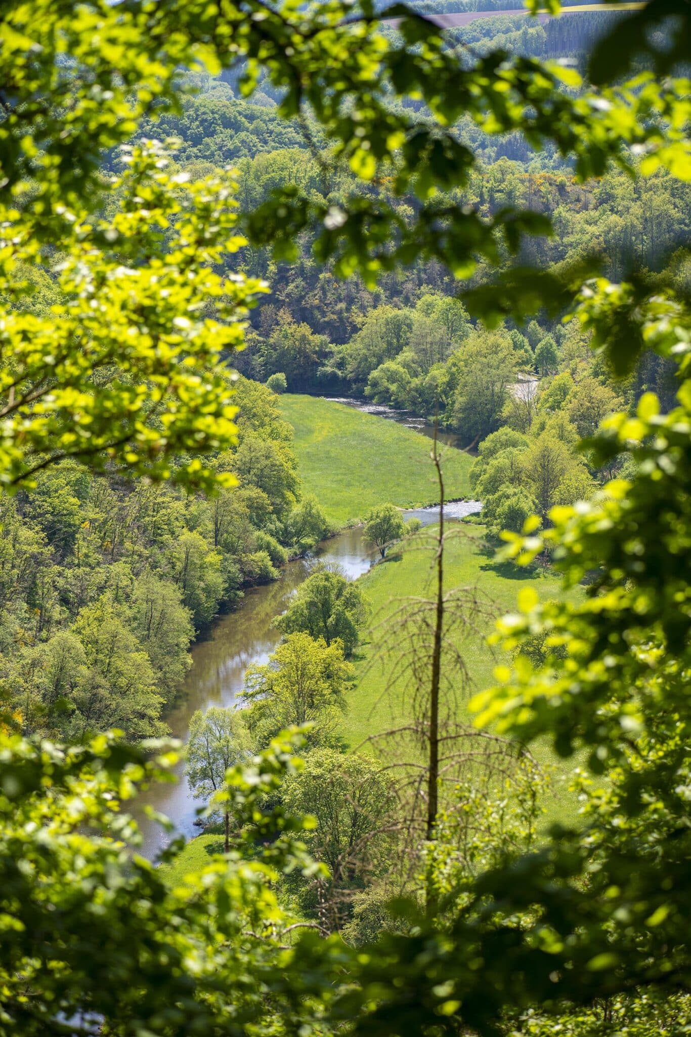 https://www.vojomag.com/app/uploads/2025/05/Parcours VTT Cantons est vallee our 1366x2048.jpg