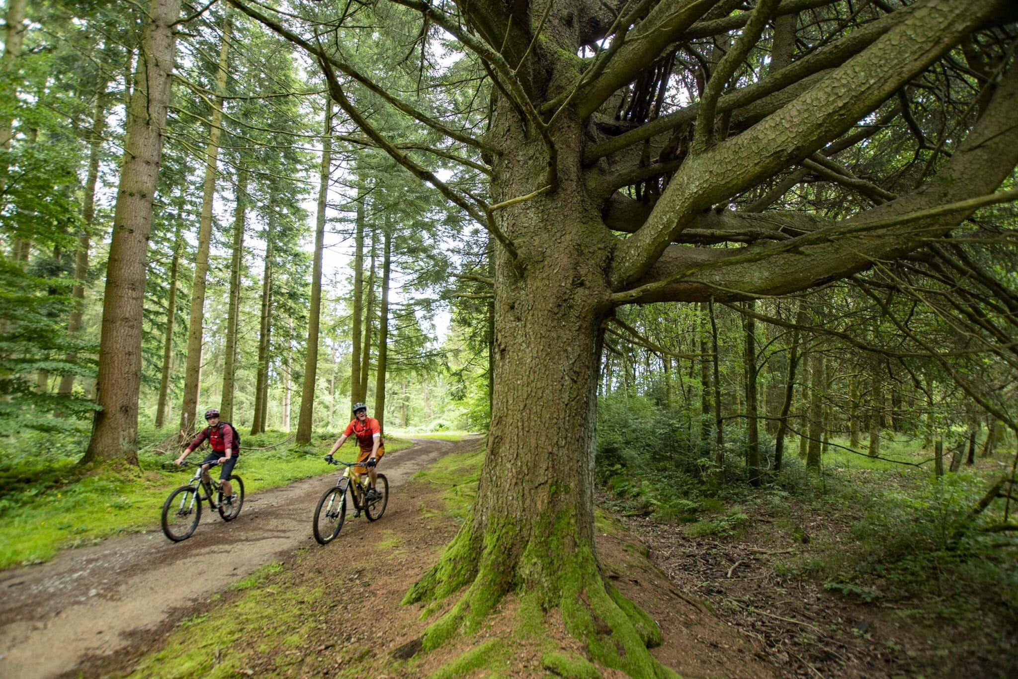 https://www.vojomag.com/app/uploads/2025/05/Parcours VTT cantons est Our 3 1366x2048.jpg