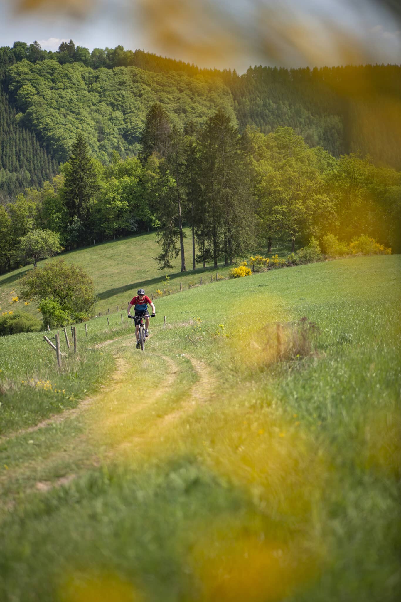 https://www.vojomag.com/app/uploads/2025/05/Parcours VTT cantons est Our 3 1366x2048.jpg