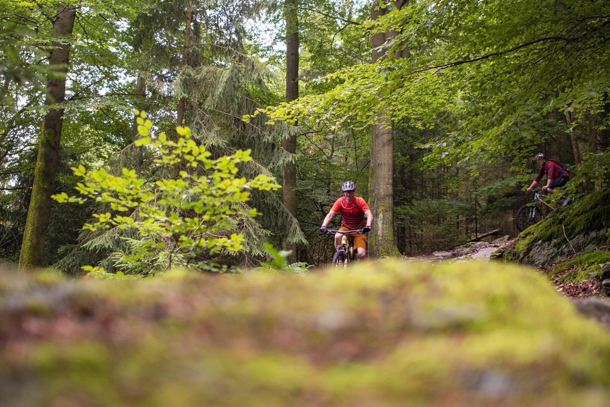 https://www.vojomag.com/app/uploads/2025/05/Parcours VTT cantons est Our 4 2048x1366.jpg