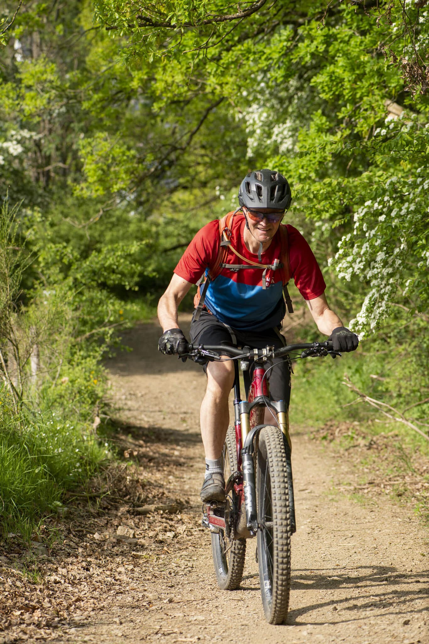 https://www.vojomag.com/app/uploads/2025/05/Parcours VTT cantons est Our Dany 2 1366x2048.jpg