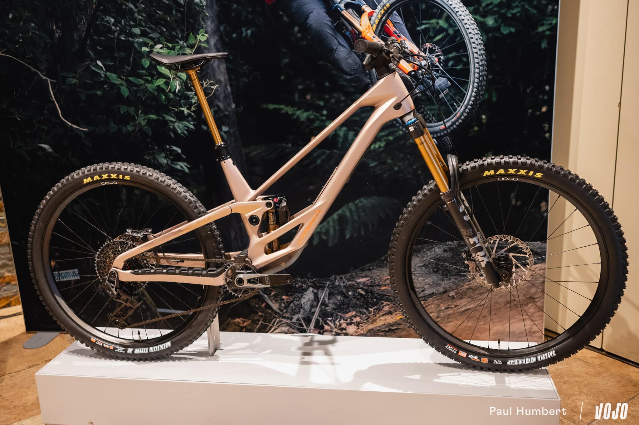 https://www.vojomag.com/app/uploads/2025/05/orbea rallon dh enduro test 2025 vojo paul humbert 14.jpg