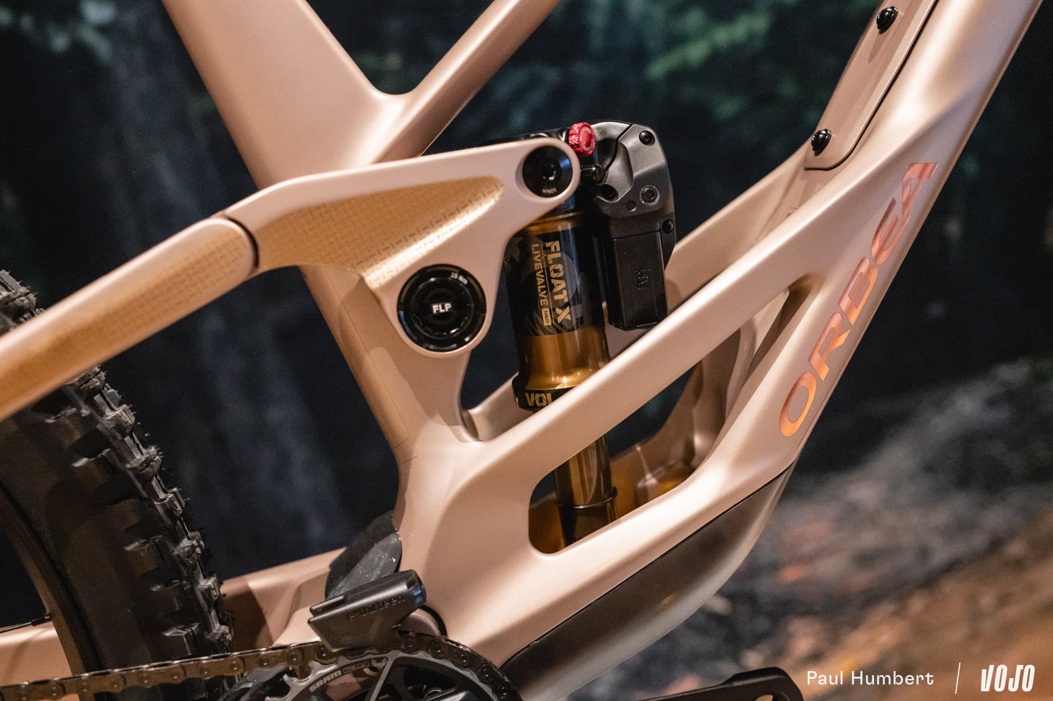 https://www.vojomag.com/app/uploads/2025/05/orbea rallon dh enduro test 2025 vojo paul humbert 14.jpg
