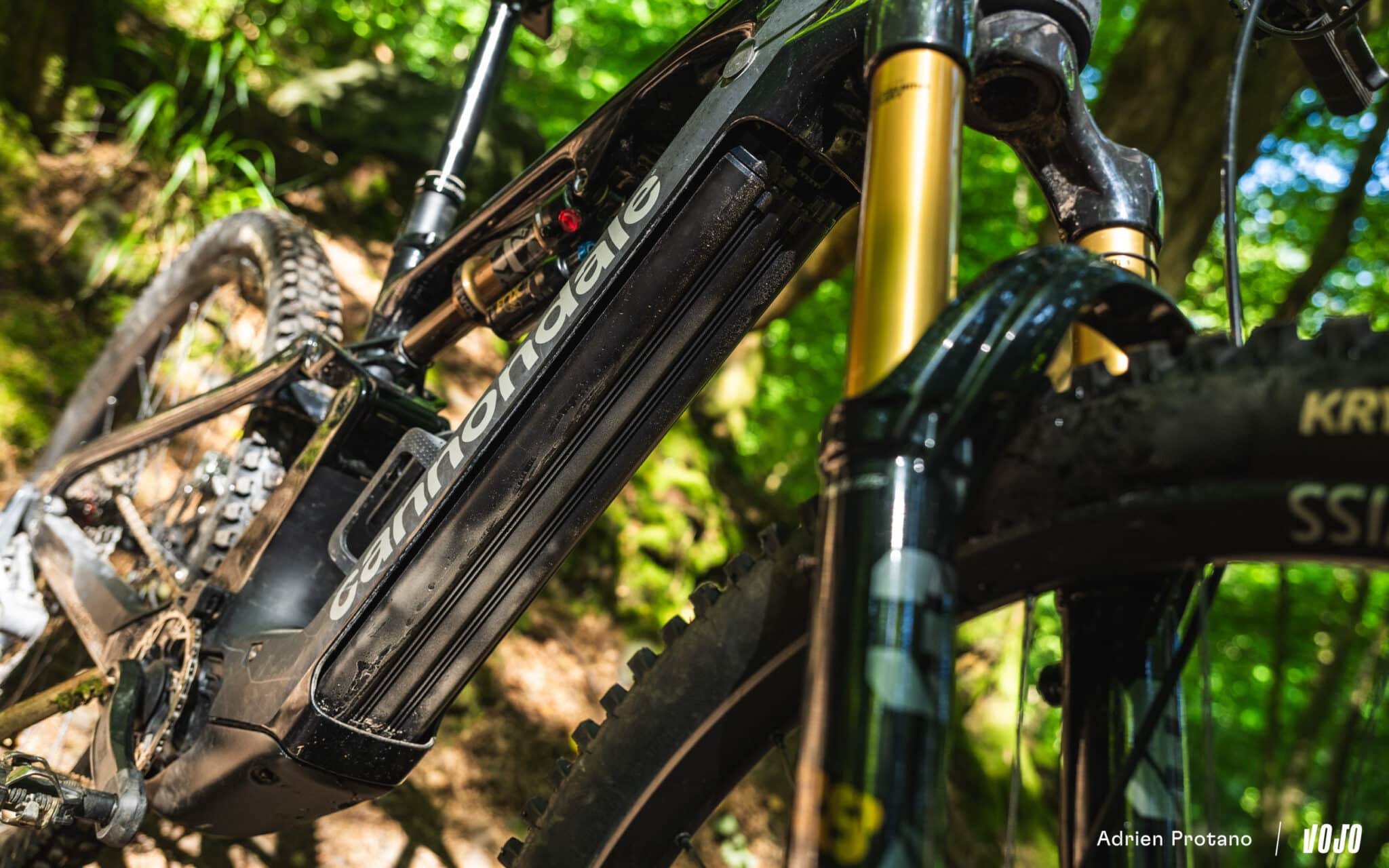 https://www.vojomag.com/app/uploads/2025/06/Cannondale Moterra 2025 VTTAE Avis Test comparaison Vojo A.Protano 1 11 2048x1280.jpg