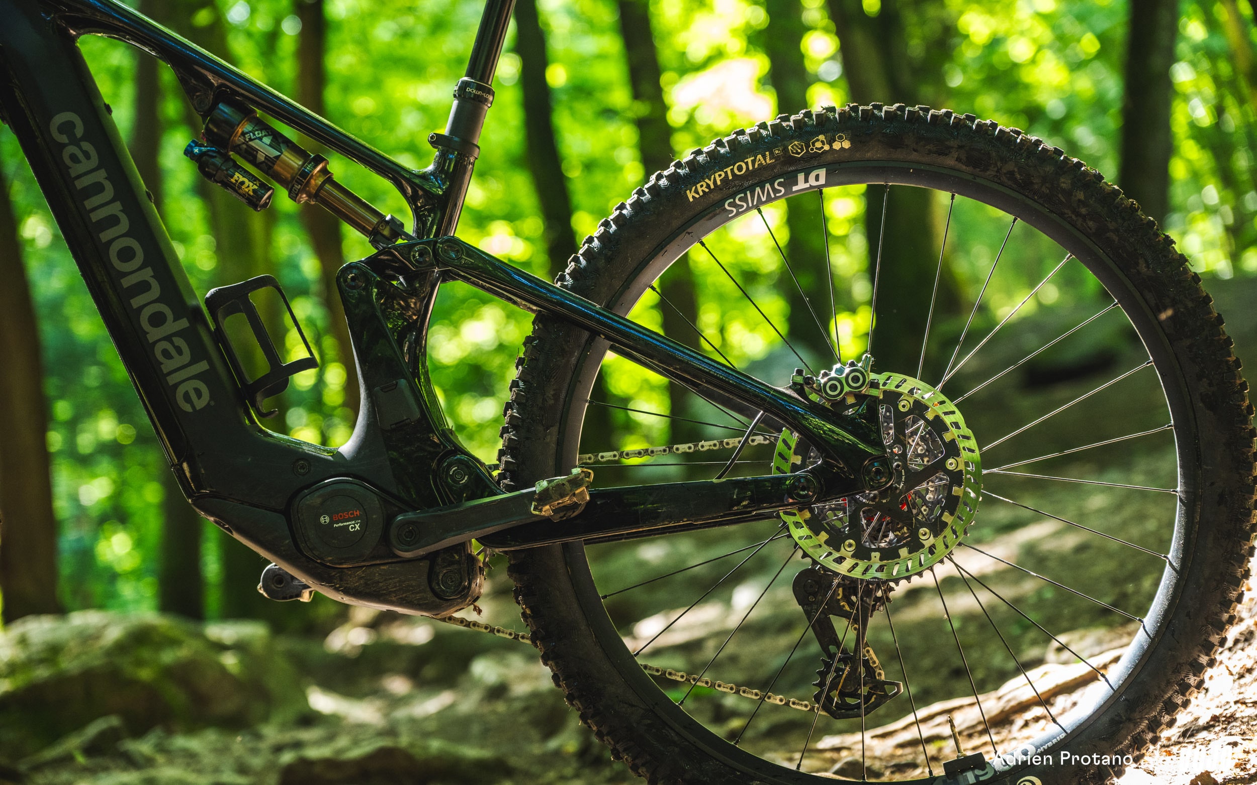 https://www.vojomag.com/app/uploads/2025/06/Cannondale Moterra 2025 VTTAE Avis Test comparaison Vojo A.Protano 1 16.jpg