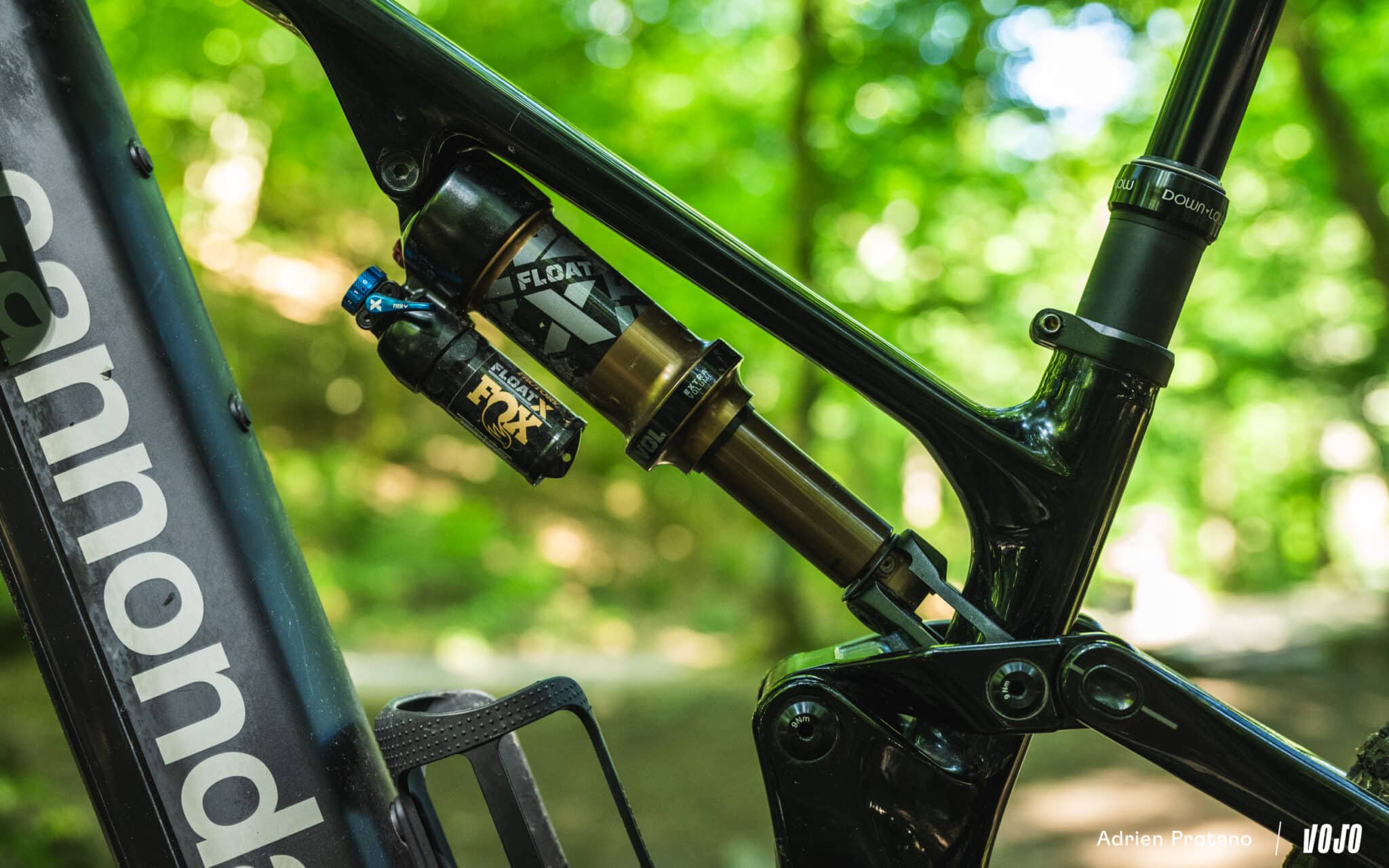 https://www.vojomag.com/app/uploads/2025/06/Cannondale Moterra 2025 VTTAE Avis Test comparaison Vojo A.Protano 1 17 2048x1280.jpg