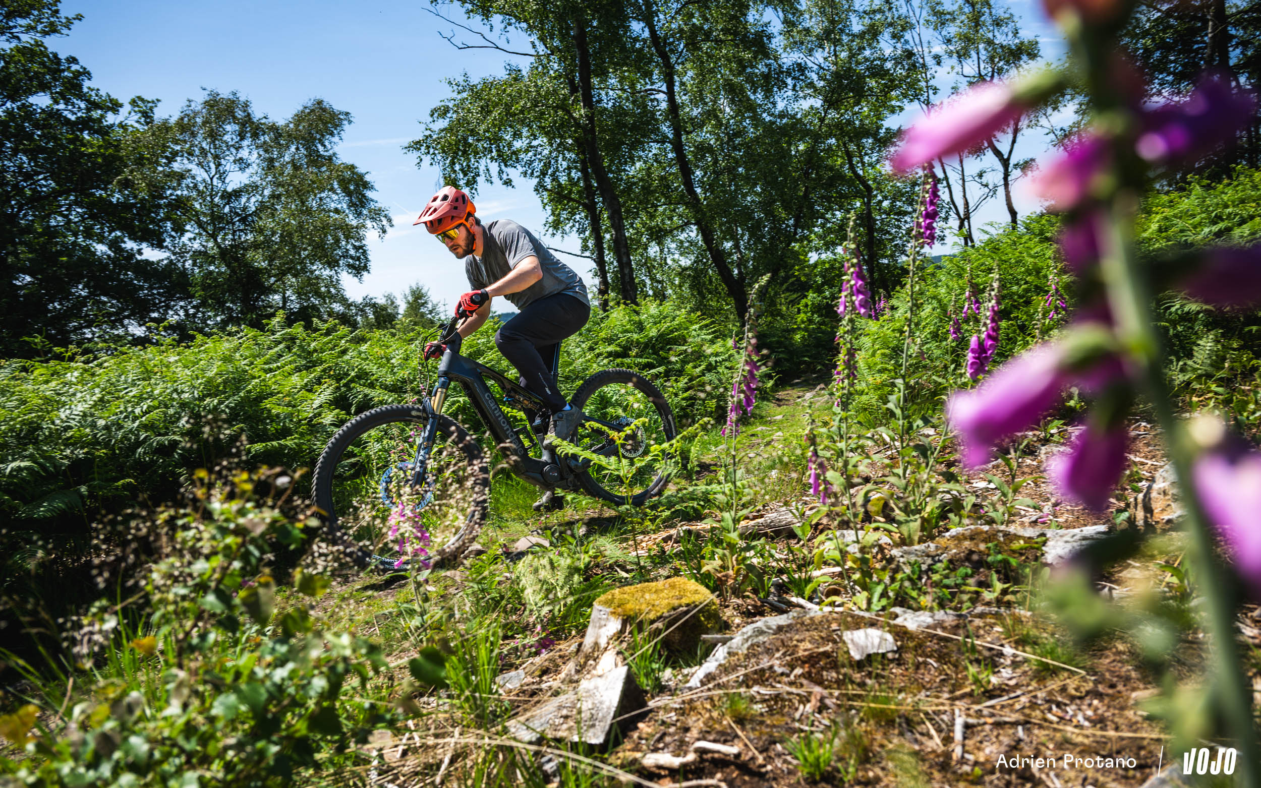 https://www.vojomag.com/app/uploads/2025/06/Cannondale Moterra 2025 VTTAE Avis Test comparaison Vojo A.Protano 1 23.jpg