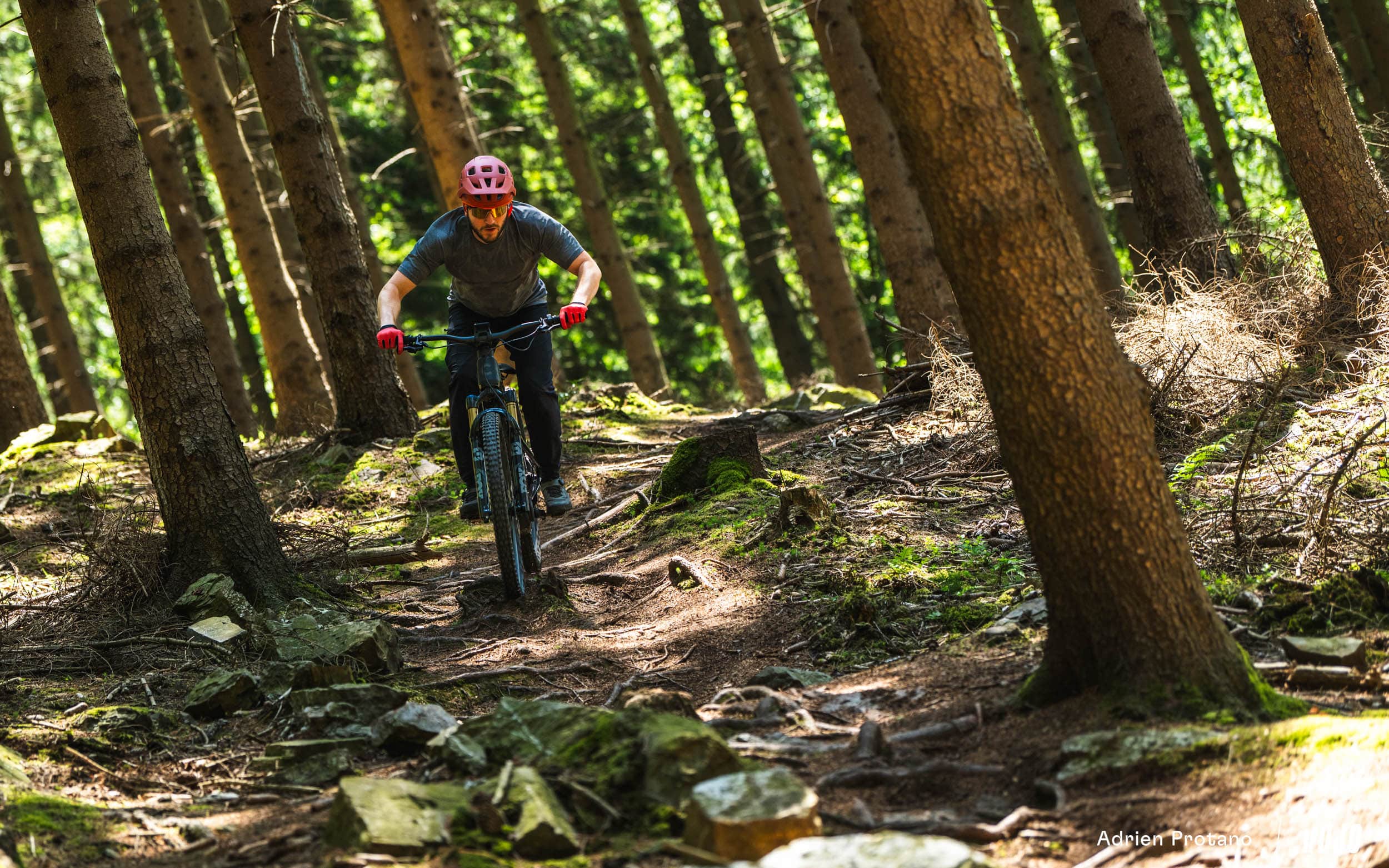 https://www.vojomag.com/app/uploads/2025/06/Cannondale Moterra 2025 VTTAE Avis Test comparaison Vojo A.Protano 1 29.jpg