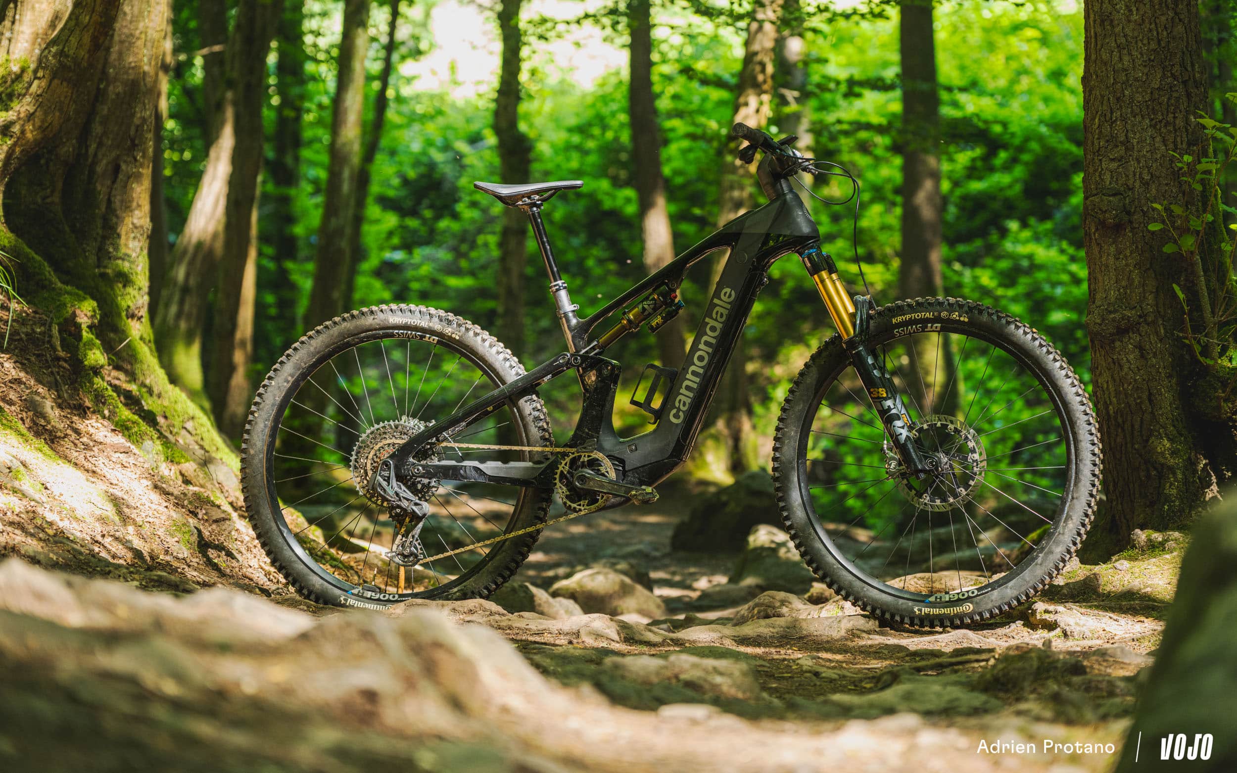 https://www.vojomag.com/app/uploads/2025/06/Cannondale Moterra 2025 VTTAE Avis Test comparaison Vojo A.Protano 1 3.jpg