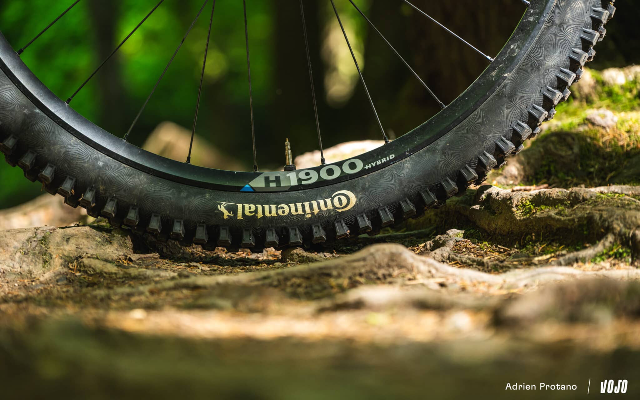 https://www.vojomag.com/app/uploads/2025/06/Cannondale Moterra 2025 VTTAE Avis Test comparaison Vojo A.Protano 1 35 2048x1280.jpg