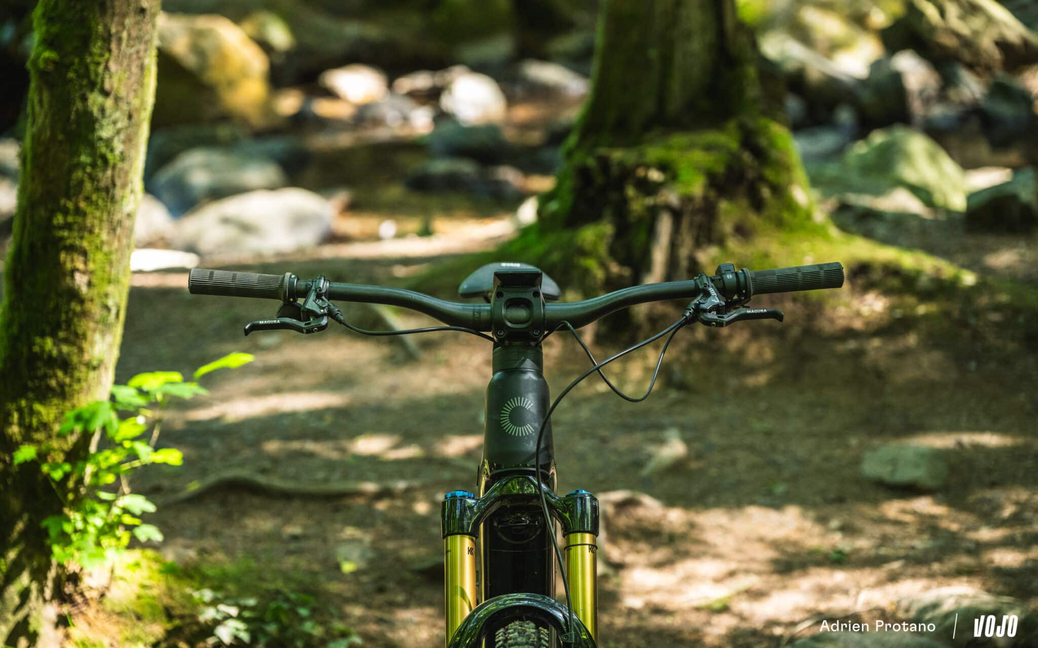 https://www.vojomag.com/app/uploads/2025/06/Cannondale Moterra 2025 VTTAE Avis Test comparaison Vojo A.Protano 1 38 2048x1280.jpg
