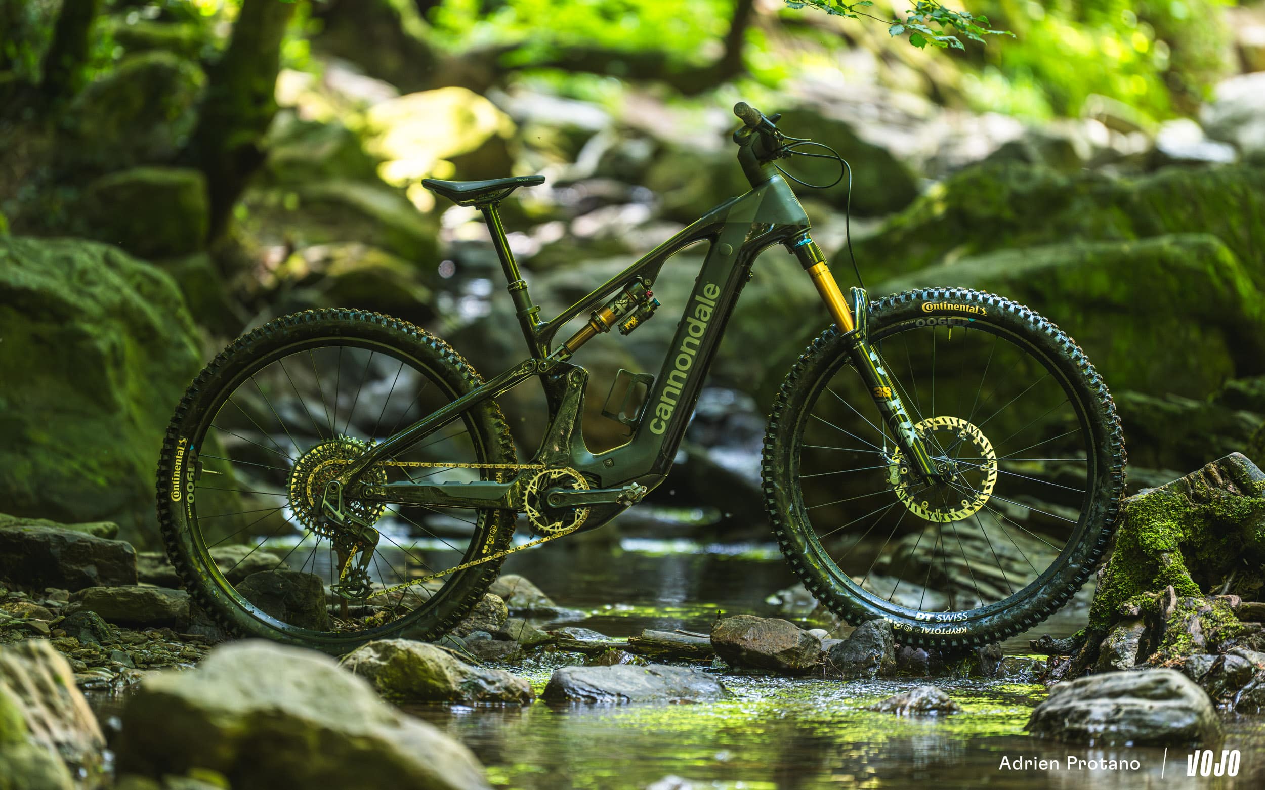 https://www.vojomag.com/app/uploads/2025/06/Cannondale Moterra 2025 VTTAE Avis Test comparaison Vojo A.Protano 1 4.jpg