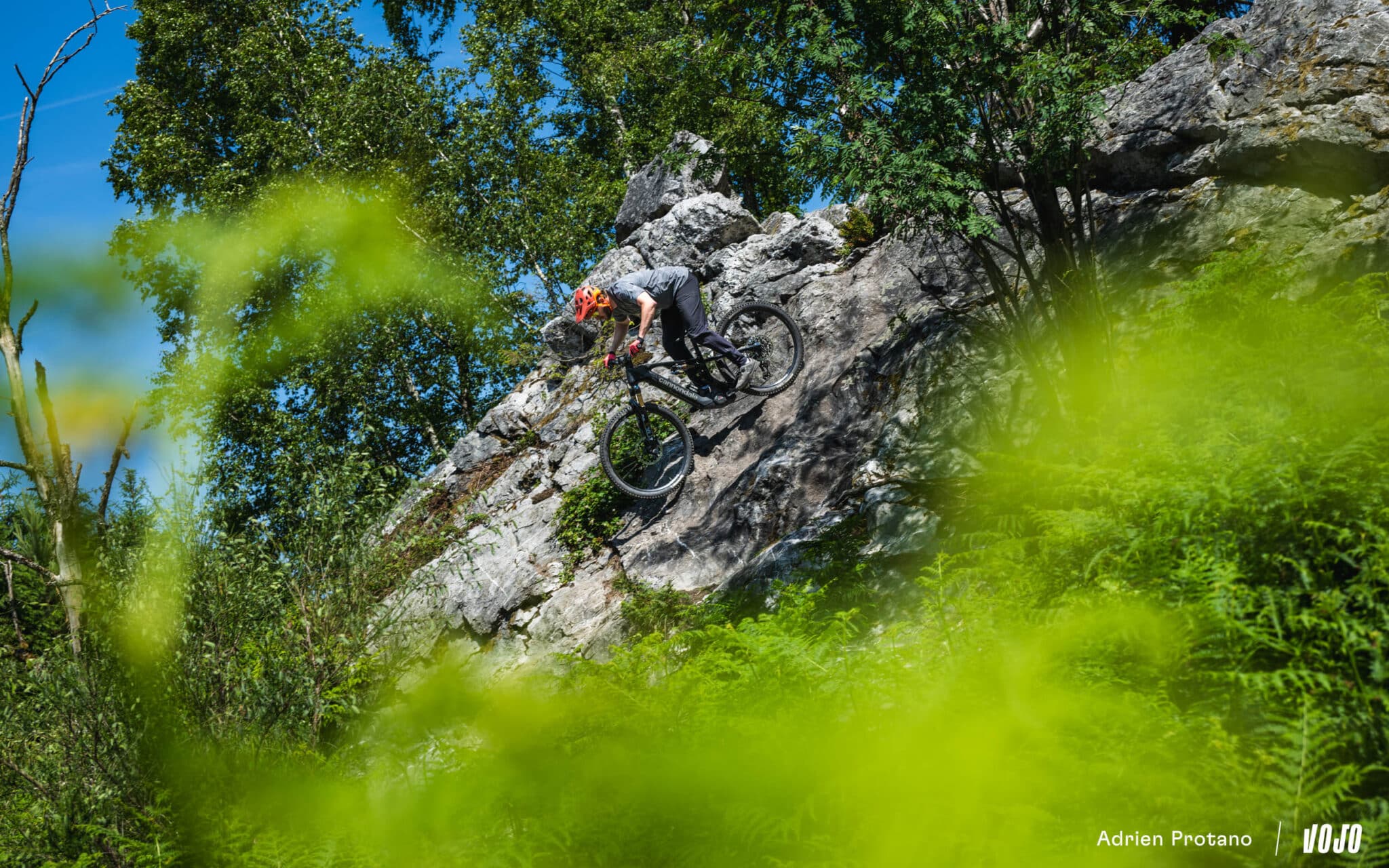 https://www.vojomag.com/app/uploads/2025/06/Cannondale Moterra 2025 VTTAE Avis Test comparaison Vojo A.Protano 1 41 2048x1280.jpg