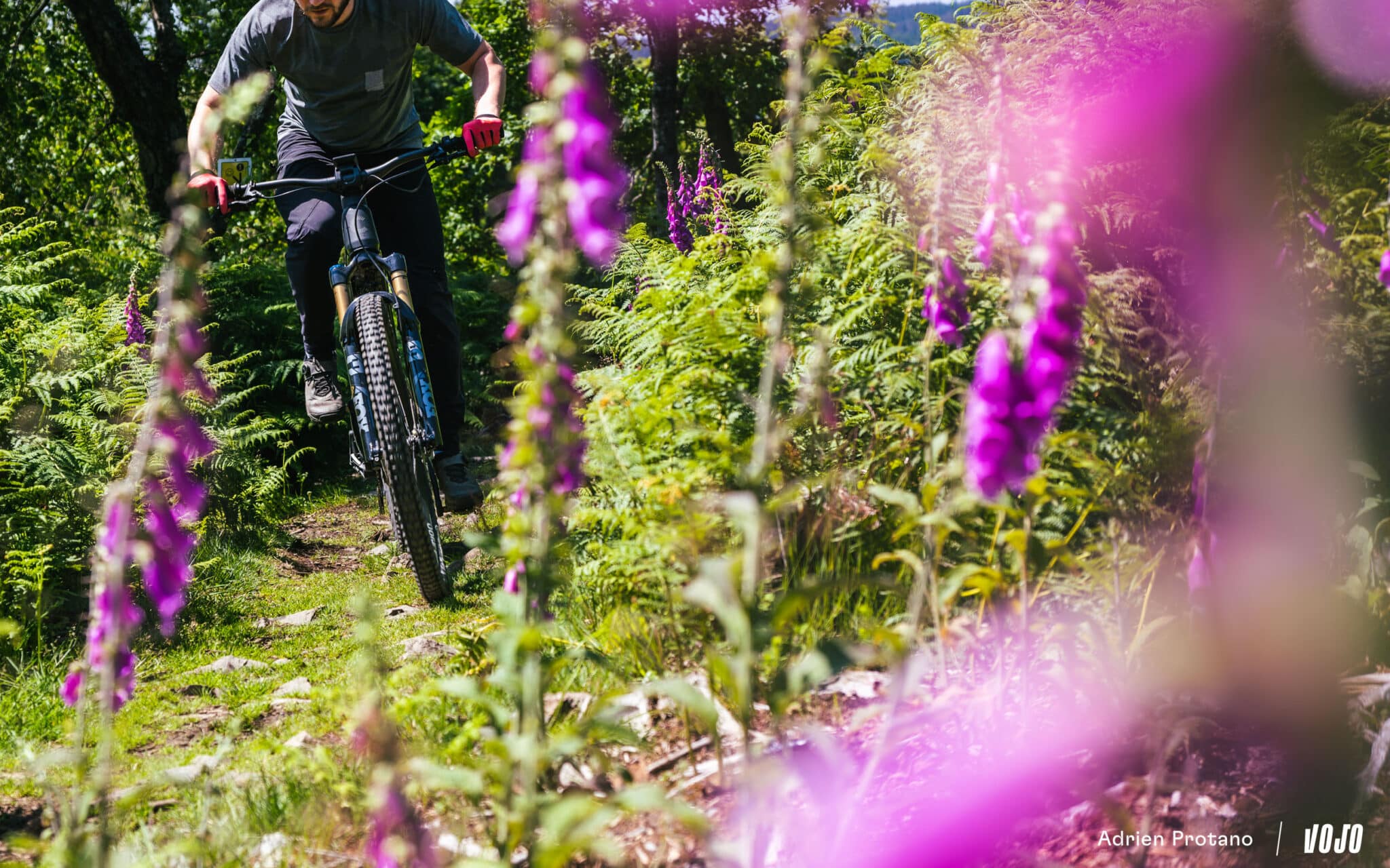https://www.vojomag.com/app/uploads/2025/06/Cannondale Moterra 2025 VTTAE Avis Test comparaison Vojo A.Protano 1 45 2048x1280.jpg