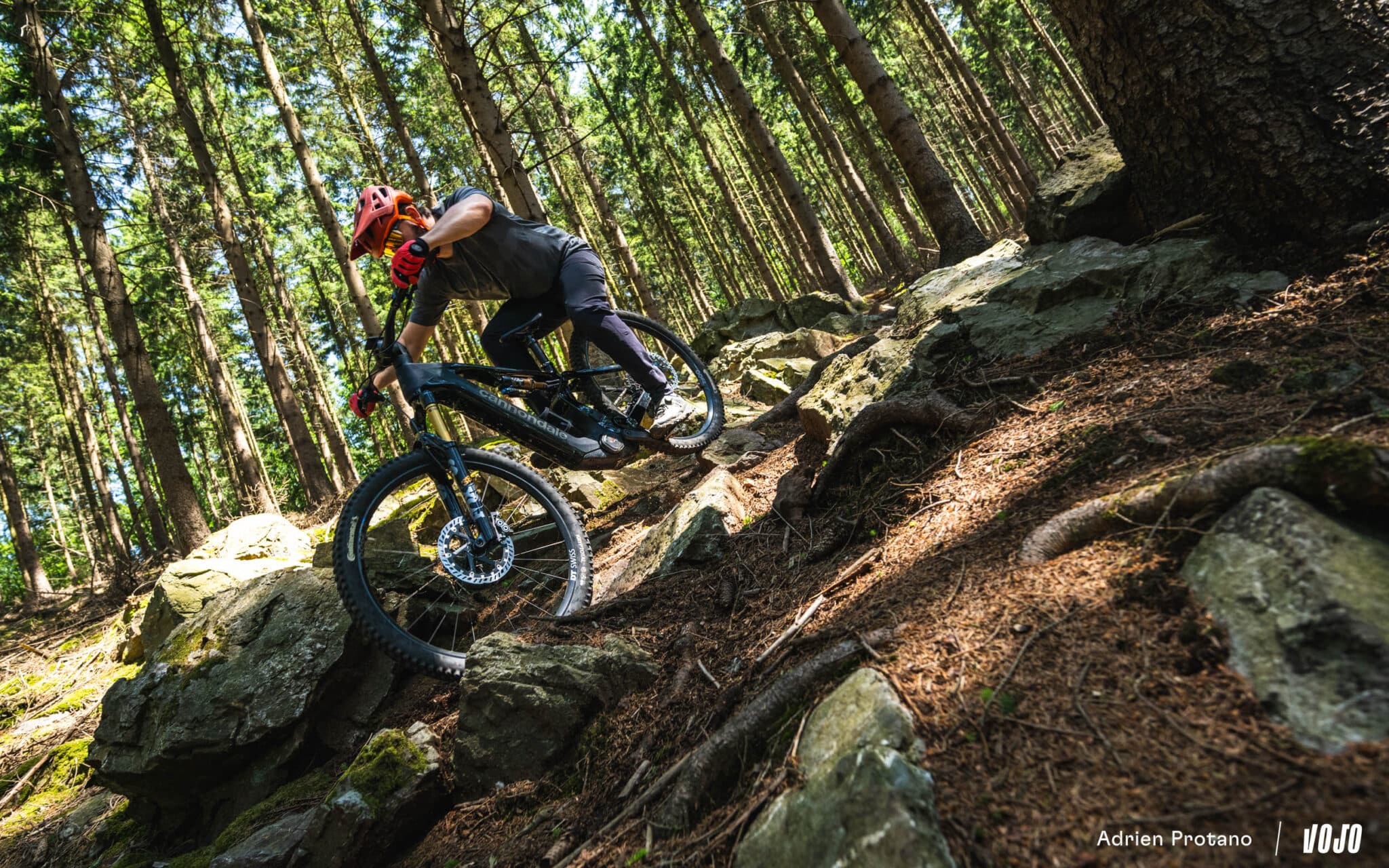 https://www.vojomag.com/app/uploads/2025/06/Cannondale Moterra 2025 VTTAE Avis Test comparaison Vojo A.Protano 1 46 2048x1280.jpg