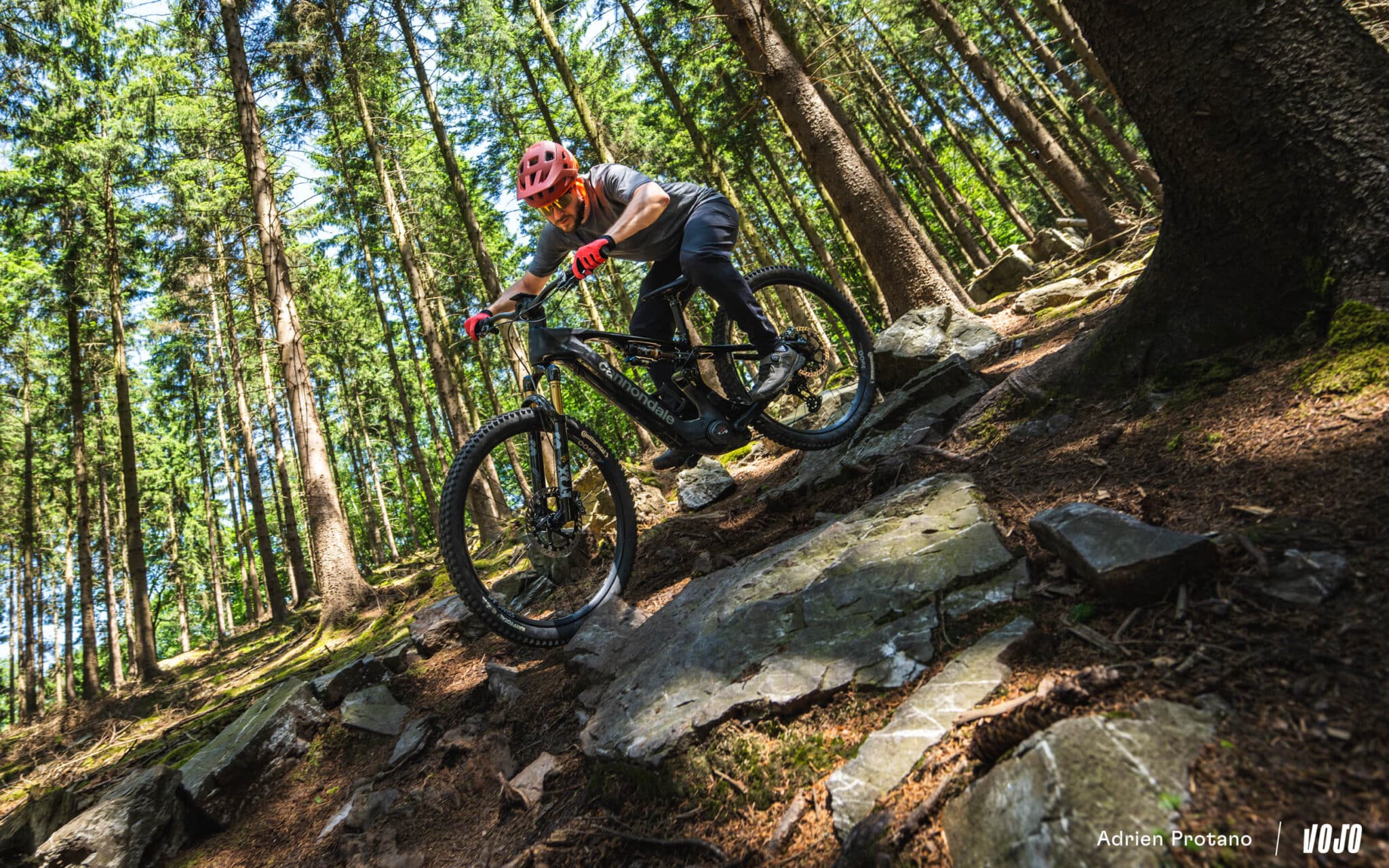 https://www.vojomag.com/app/uploads/2025/06/Cannondale Moterra 2025 VTTAE Avis Test comparaison Vojo A.Protano 1 46 2048x1280.jpg