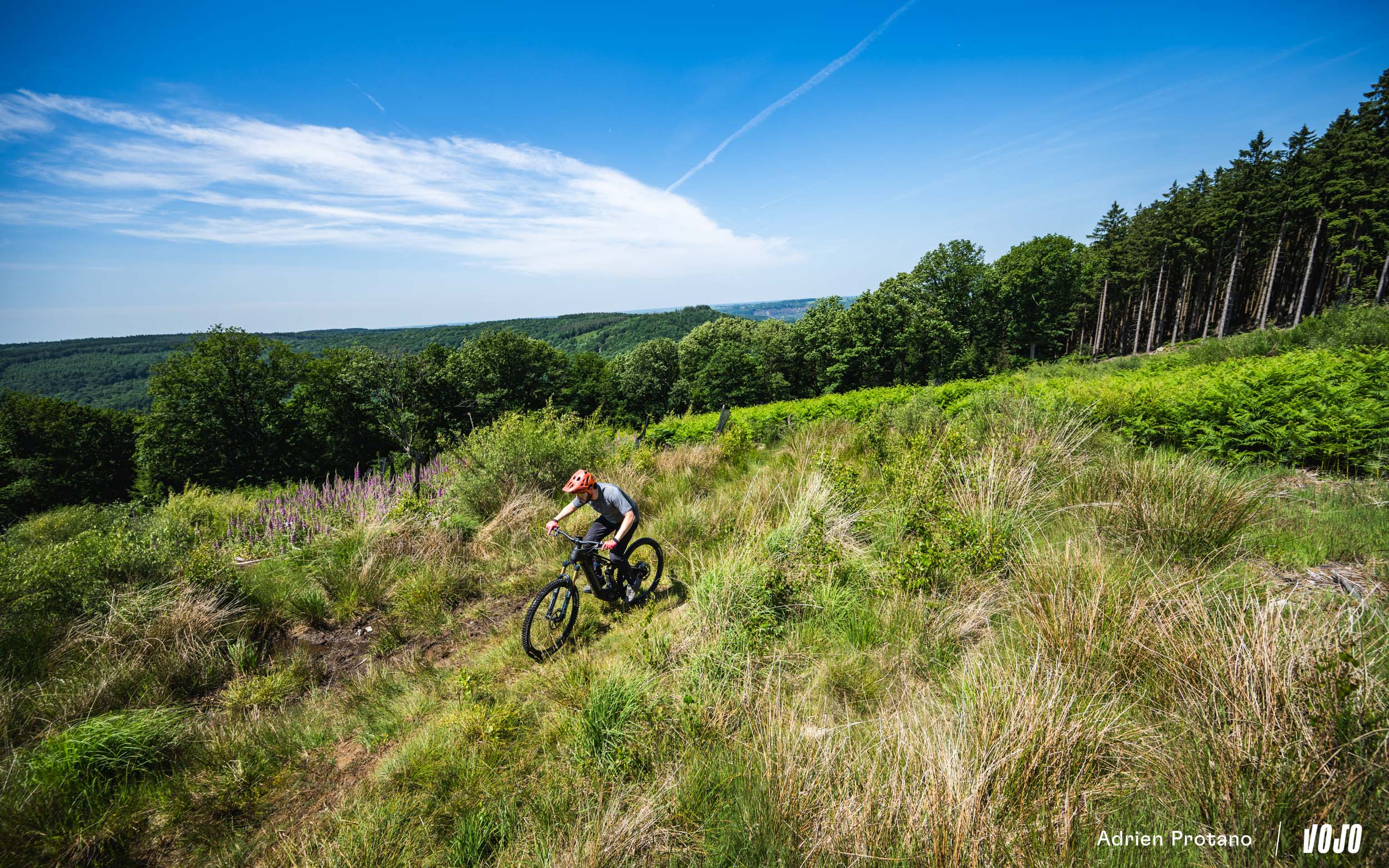 https://www.vojomag.com/app/uploads/2025/06/Cannondale Moterra 2025 VTTAE Avis Test comparaison Vojo A.Protano 1 49.jpg