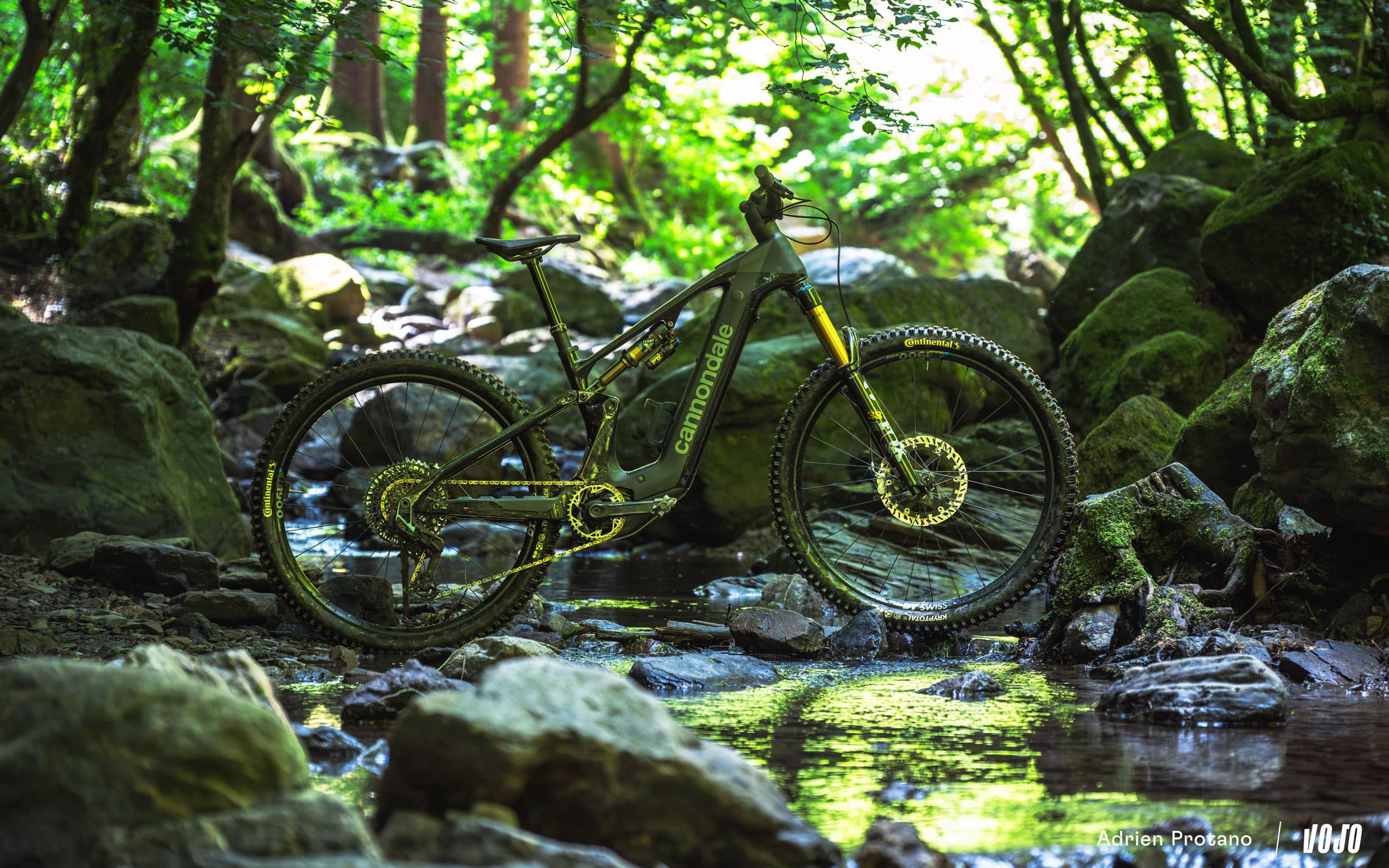 https://www.vojomag.com/app/uploads/2025/06/Cannondale Moterra 2025 VTTAE Avis Test comparaison Vojo A.Protano 1 5.jpg